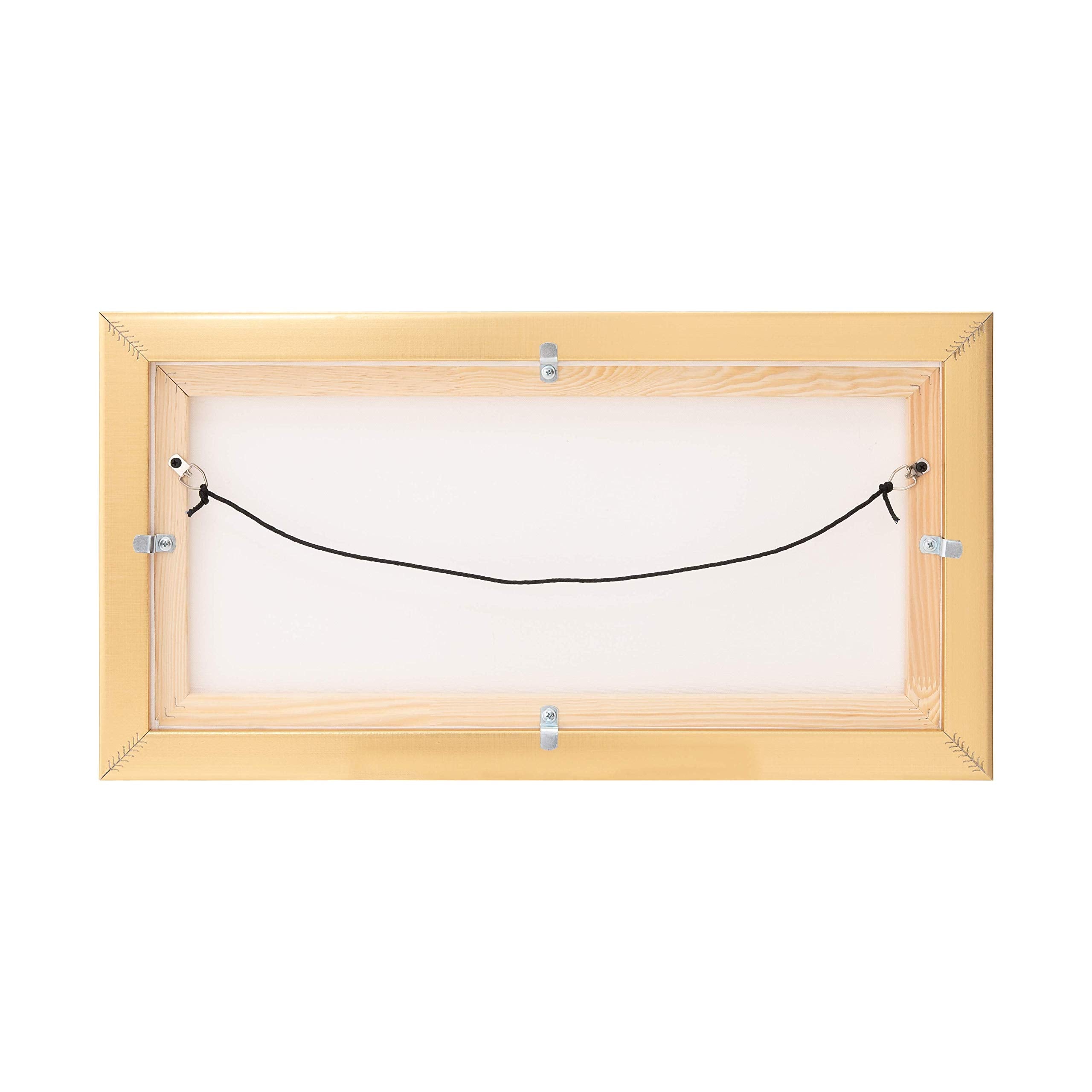 Pixy Canvas 24x48 inch Floater Frame for Canvas Paintings. 12 Colors. Floating Frame fits 5/8''  3/4'' & max 7/8'' Deep Stretched Canvas & Wood Panels (Brass Gold  24 x 48 inch)