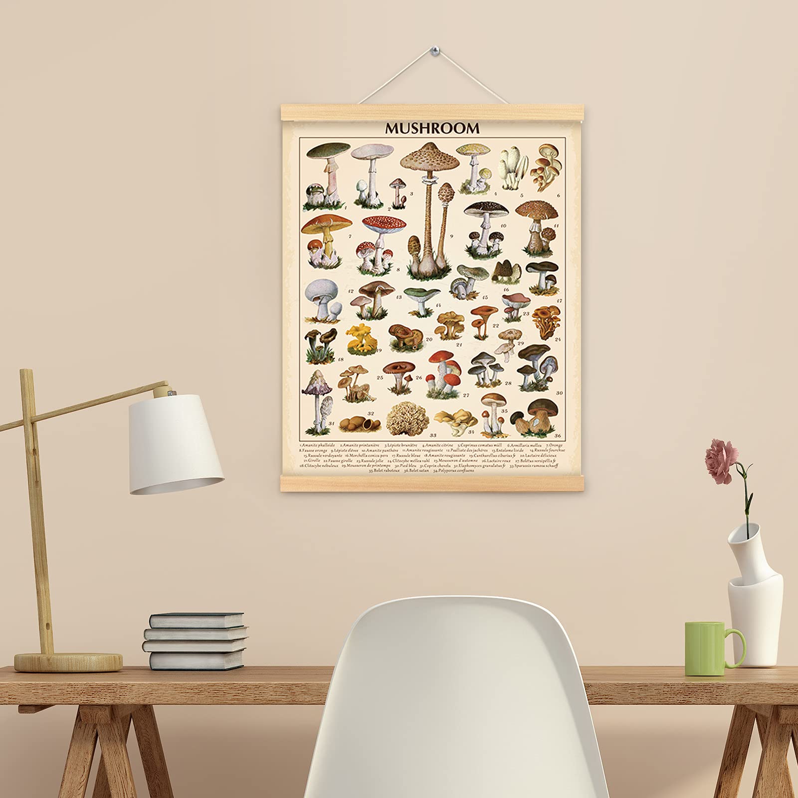 Outus Vintage Mushroom Poster Fungus Wall Art Prints Rustic Mushroom Wall Hanging Illustrative Reference Chart Poster for Living Room Office Classroom Bedroom Dining Room Decor Frame  15.7 x 19.7 Inches