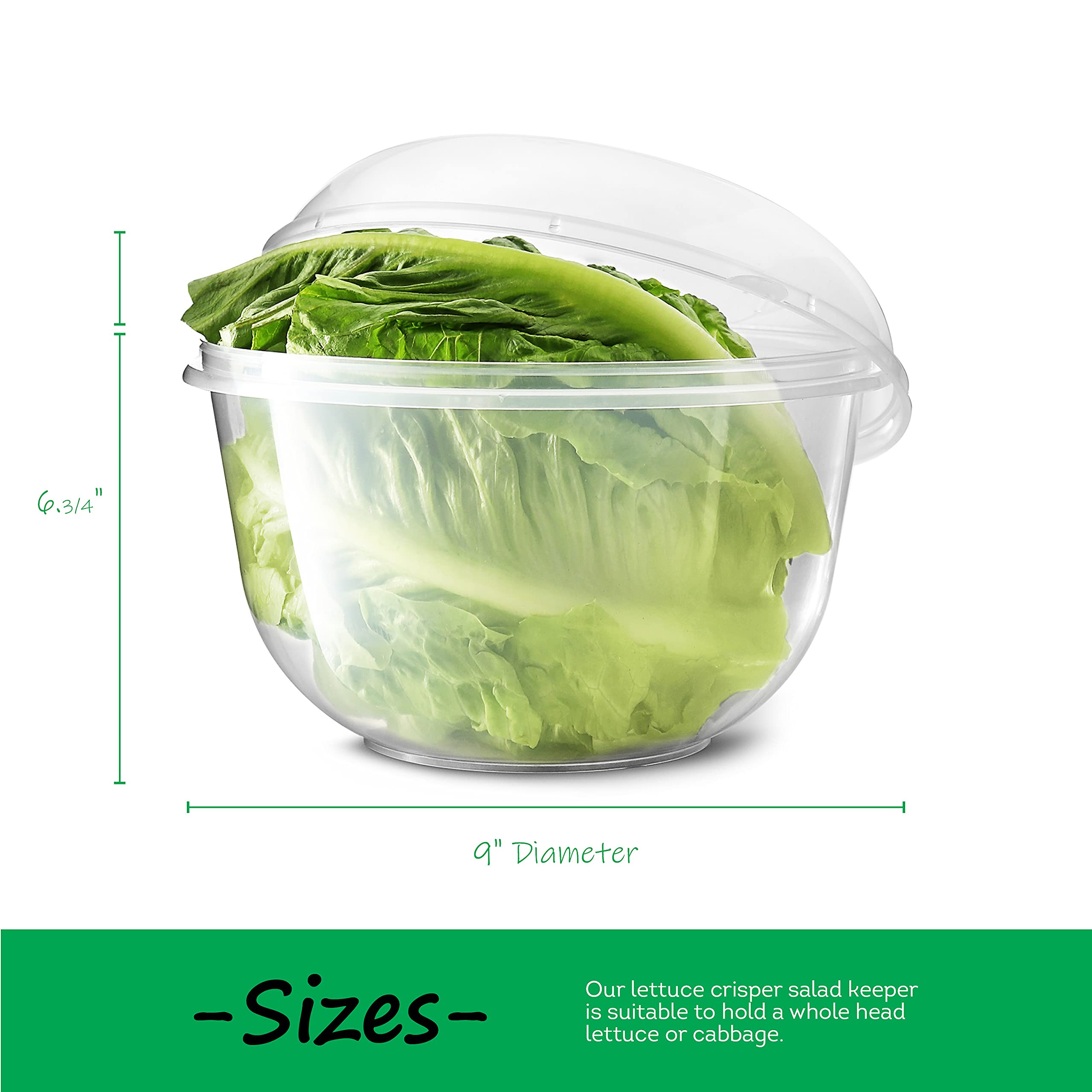 Tafura Lettuce Keeper for Fridge  Lettuce Crisper  Vegetable Saver with Cover  Lettuce Storage Container with Lid  Crisp and Fresh Greensaver  Salad Saver Box.