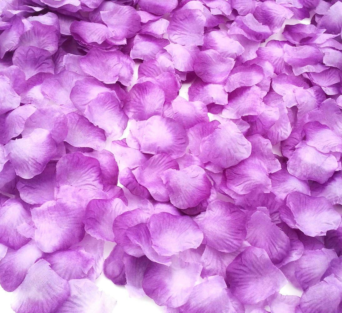 CODE FLORIST 1100 PCS Light Purple Silk Rose Petals for Valentines Day,Romantic Night,Wedding,Proposal Anniversary Flower Decor
