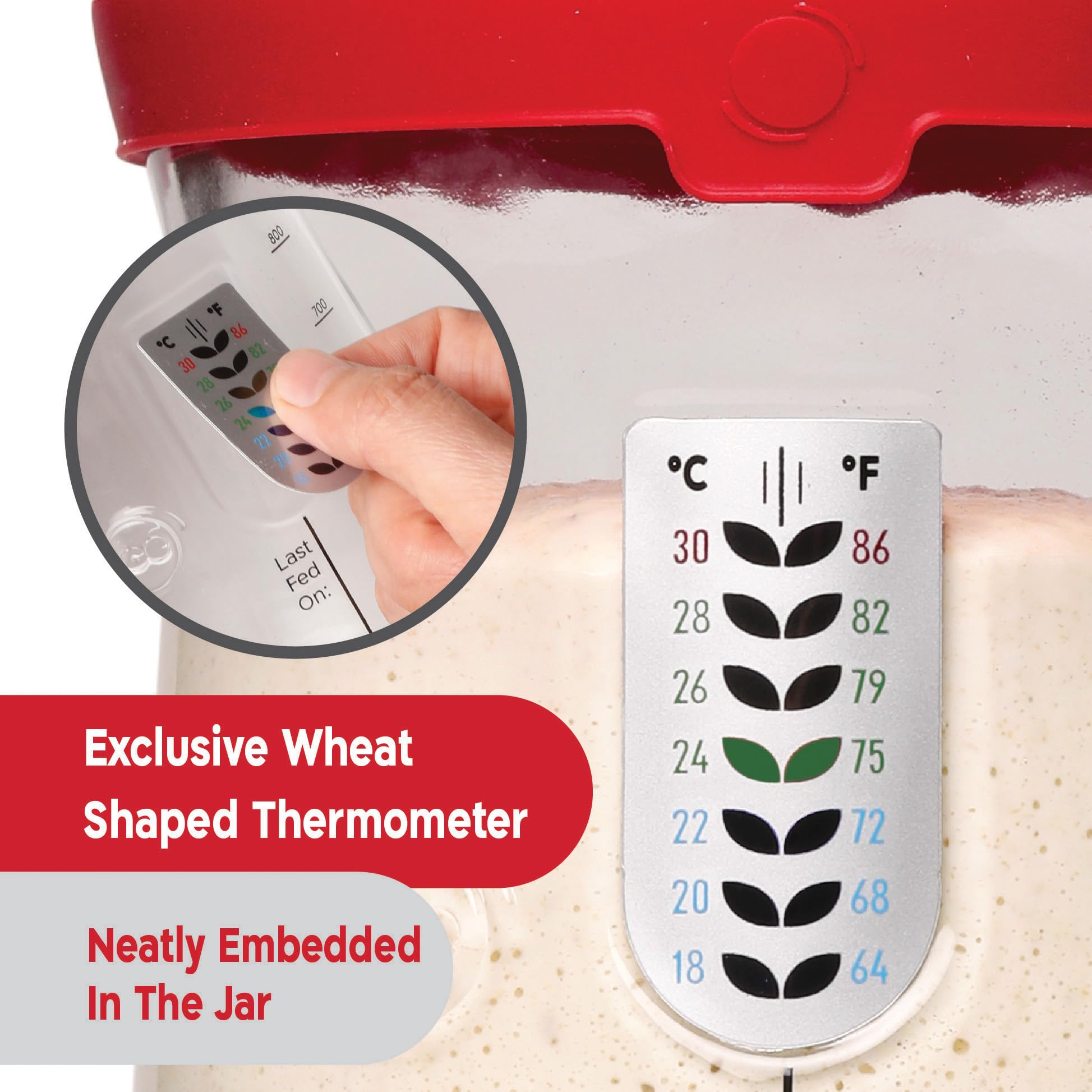 Kneadace Pro Sourdough Bread Starter Kit- 34 Oz Large Capacity Sourdough Starter Jar With 5 Unique Features For The Perfect Sour