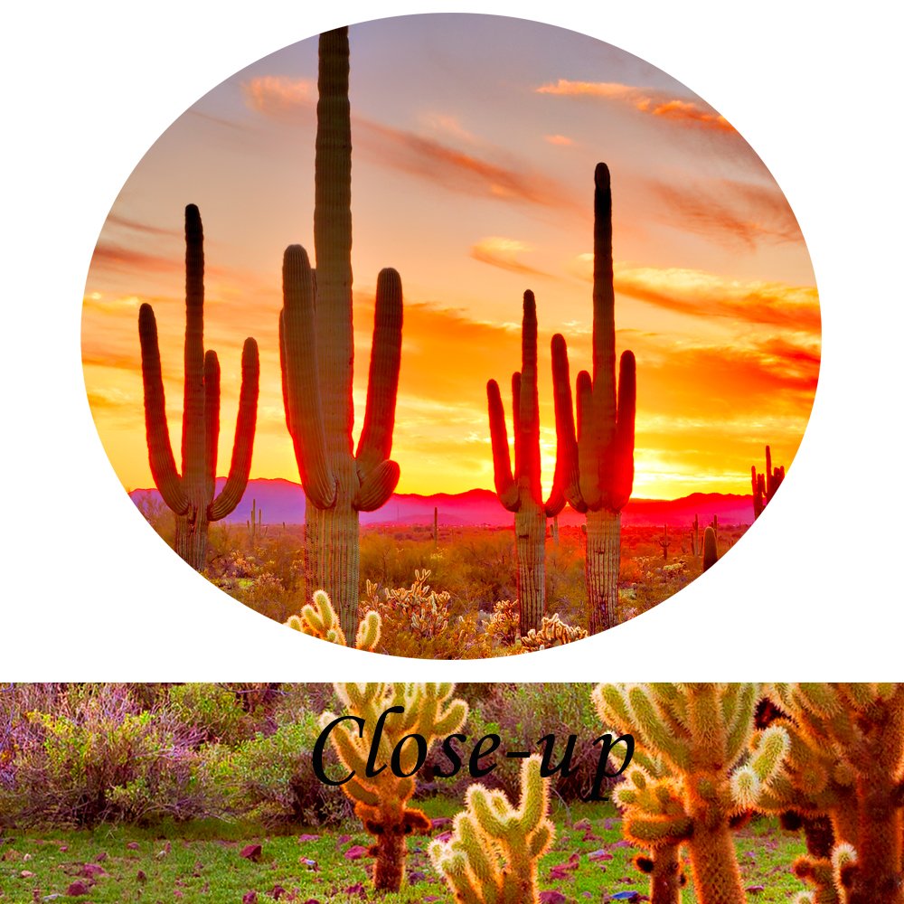 Kreative Arts - Natural Landscape Paintings Wall Art Sunset with Saguaros in Sonoran Desert 5 Pieces Picture Print on Canvas for Modern Home Decoration (Large Size 60x32inch)
