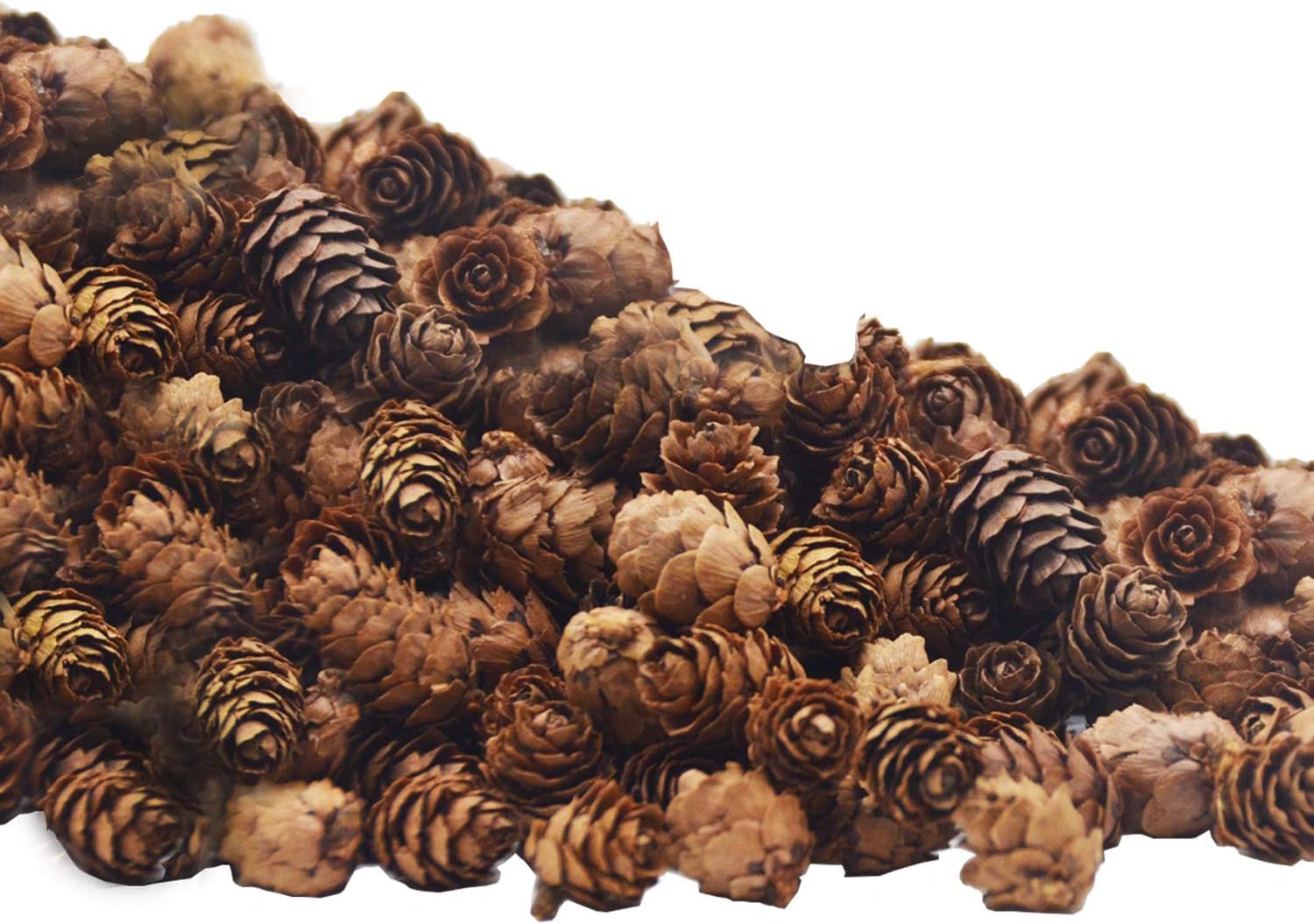Deloky 150 Pcs Christmas Natural Mini Pine Cones- 2CM Thanksgiving Small Pinecones Ornaments Vase Fillers for DIY Crafts, Home D