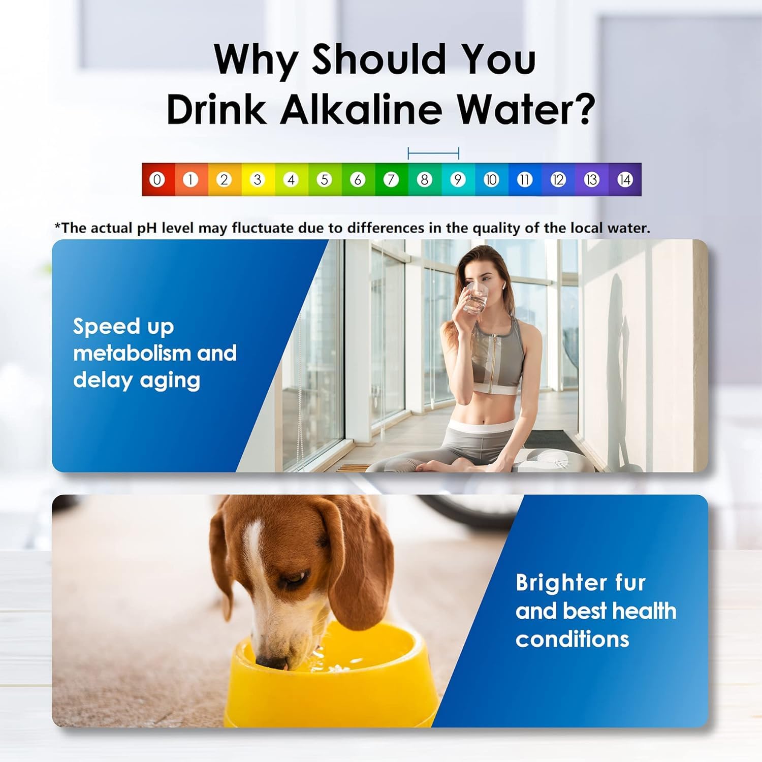 Waterdrop Alkaline Water Filter Dispenser, Large 40-Cup, Healthy, Clean & Toxin-Free Mineralized Alkaline Water, 100-Gallon, Bpa