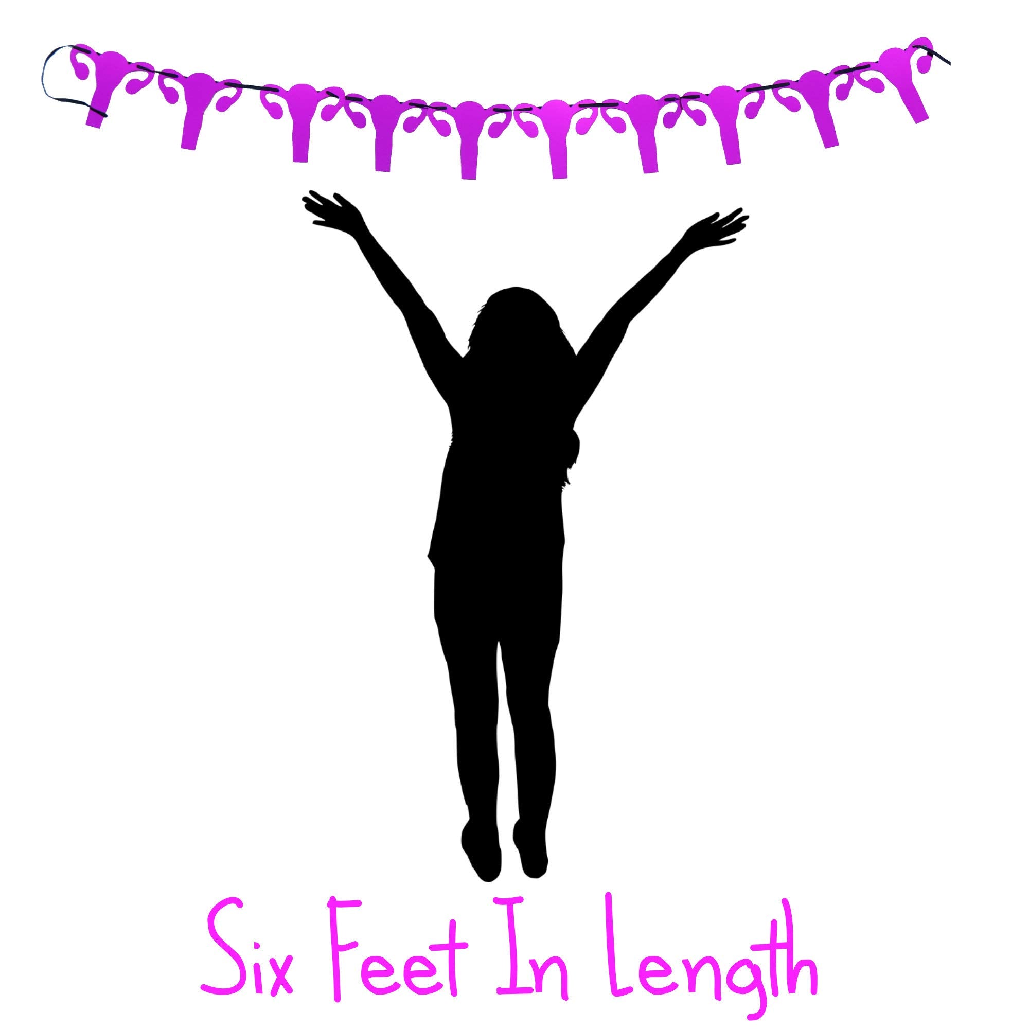 ROFLmart Metallic Pink Uterus Banner Party Decorations