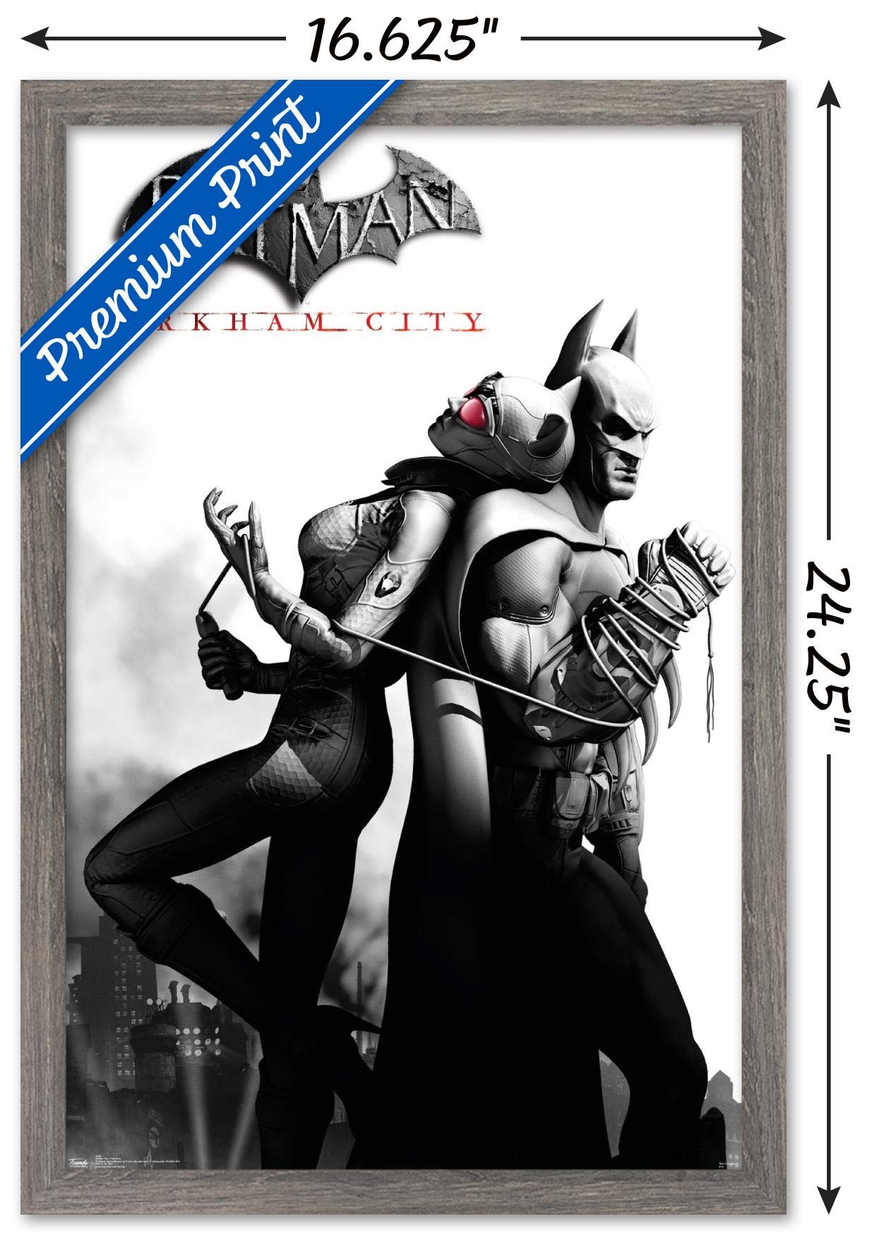 Trends International Dc Comics Video Game - Arkham City - Catwoman Wall Poster, 14.725'' X 22.375'', Barnwood Framed Version