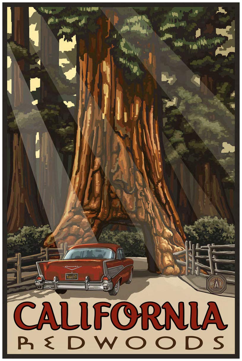 California Redwoods Car Thru Tree Giclee Art Print Poster From Travel Artwork By Artist Paul A. Lanquist 24'' X 36''