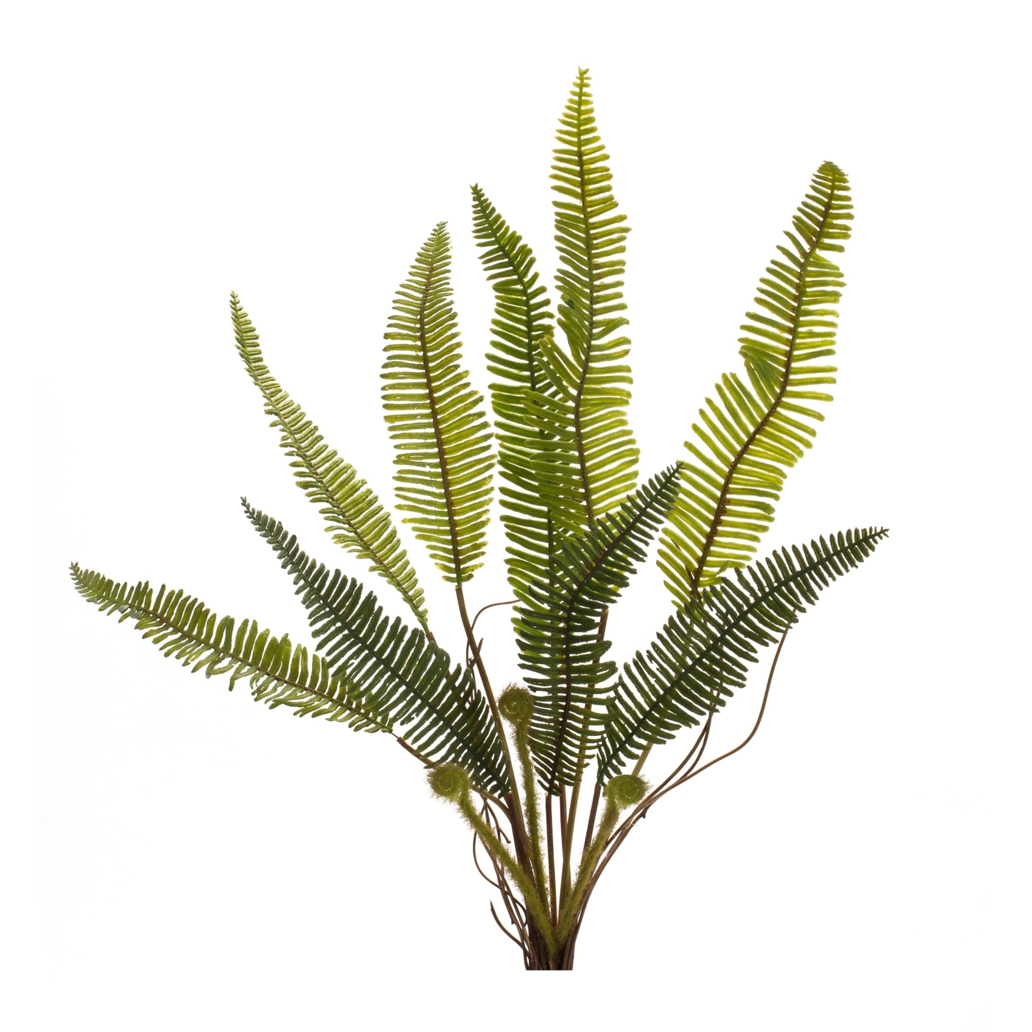 Melrose 85357 Fern Plant, 17.5 H, Plastic