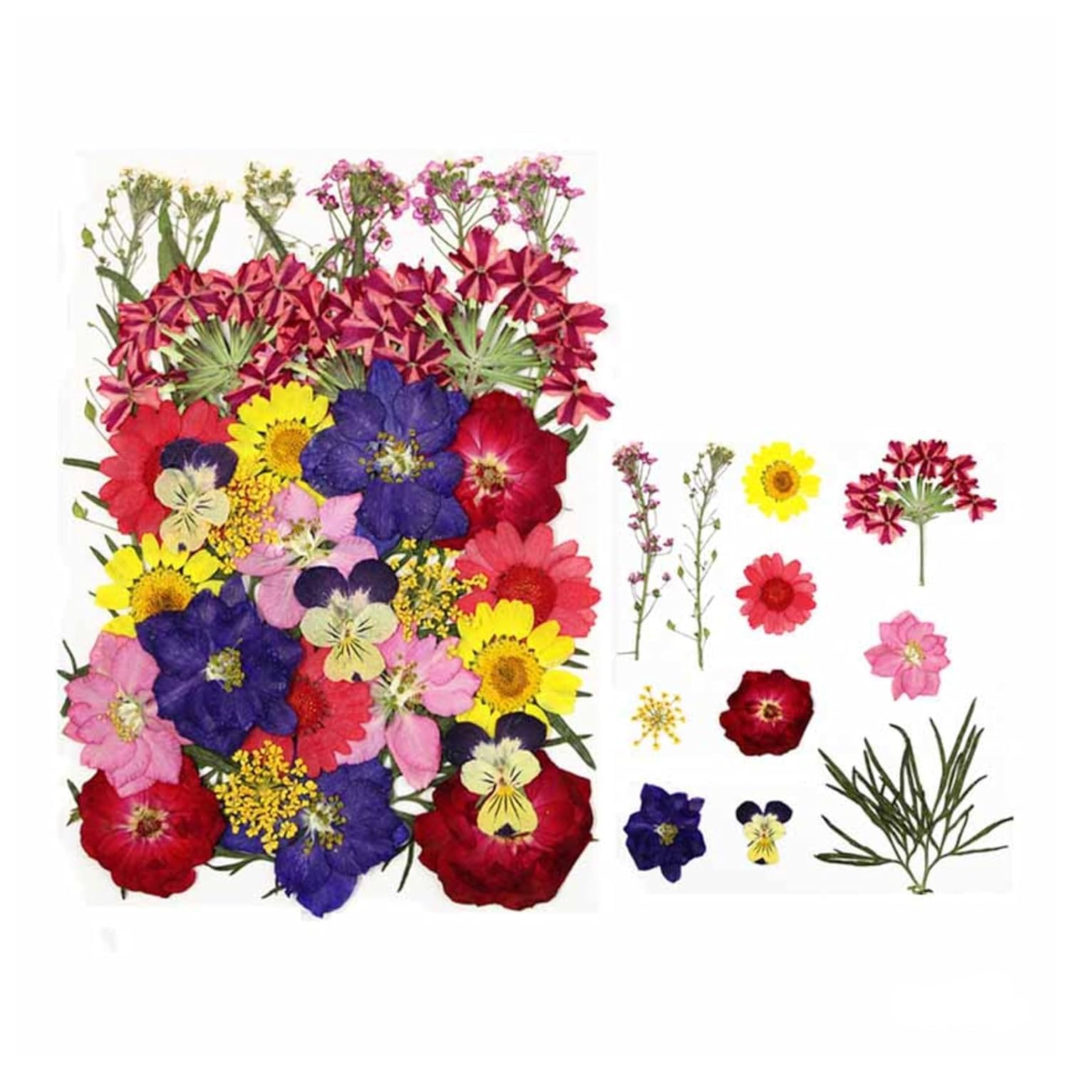 Brightail Infra 30 In 1 Multicolor Dry Pressed Flowers For Epoxy Resin Art Craft, Nail Extensions,Soap,Candle,Scrapbook, Diy, Re