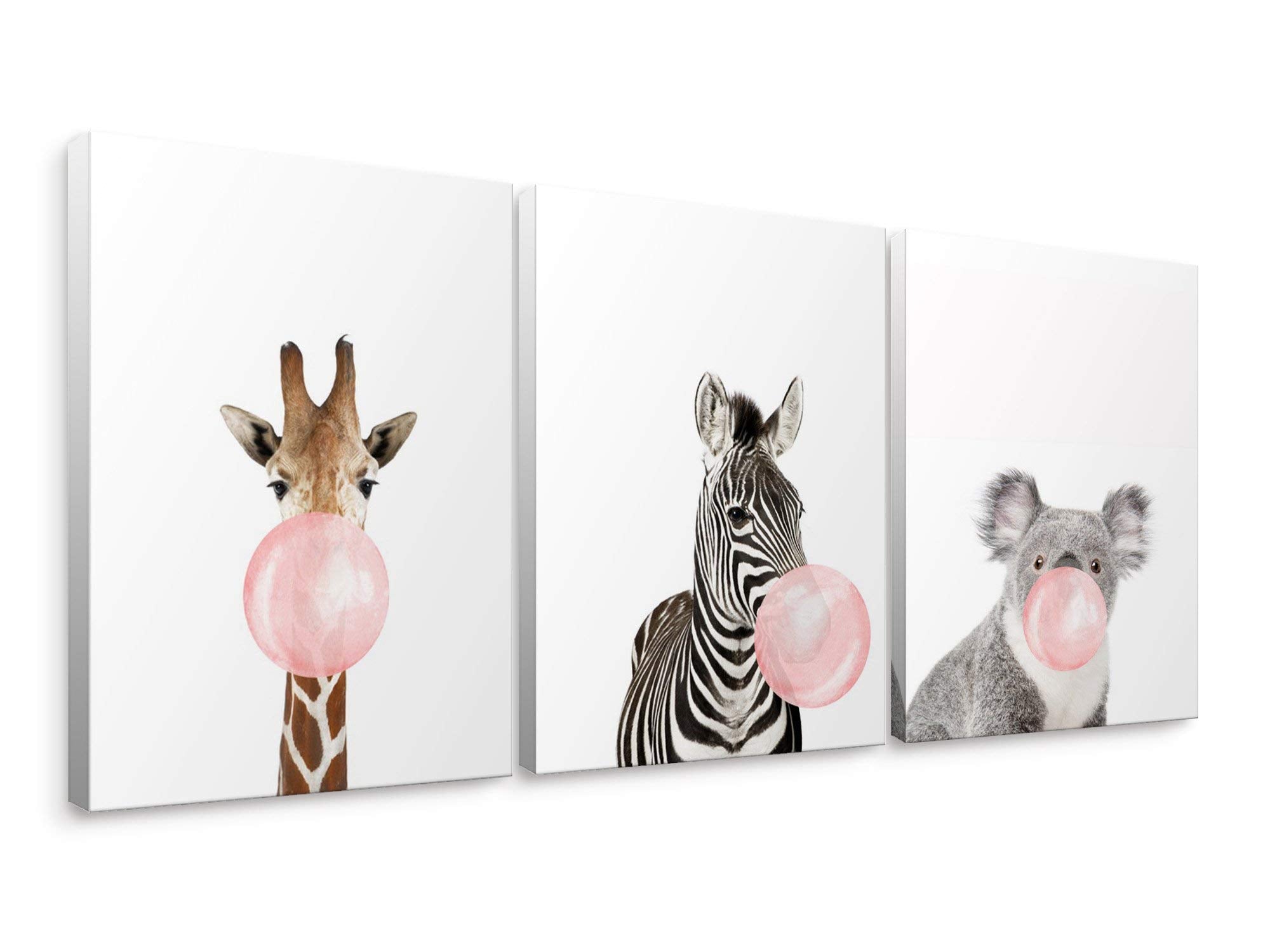 Niwo Art - Pink Bubble Gum, 3-Piece Animal Canvas Wall Art Home Decor,Framed Ready To Hang (16''X12''X3/4'')