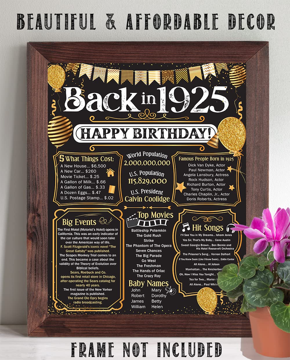 100th Birthday Party Decorations for 100th Birthday (One-hundred) - Remembering The Year 1925 Poster - Gifts for Men and Women T