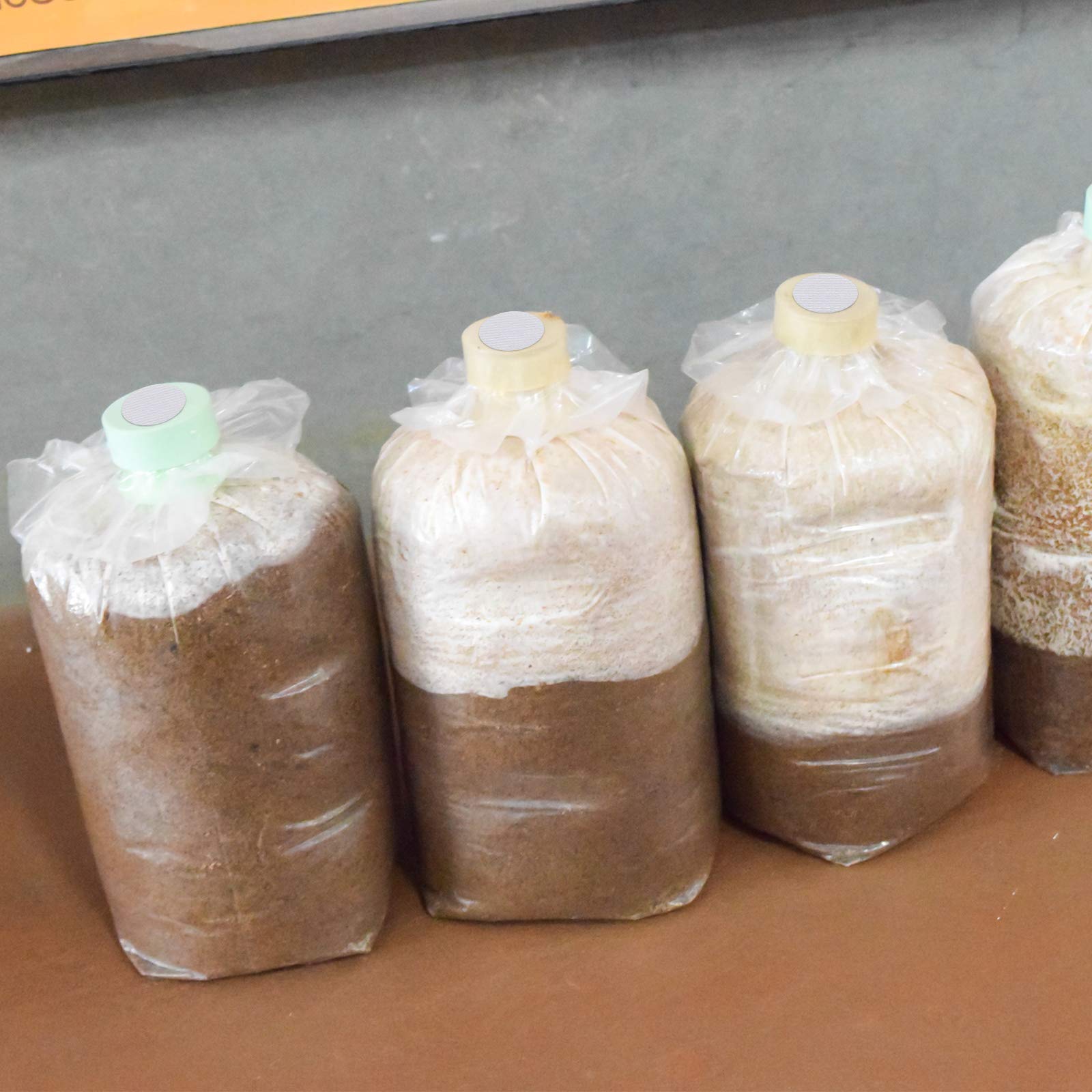 256 Pieces Synthetic Filter Paper Stickers 20 Mm 0.3 M Synthetic Filter Disc Tape Mushroom Applied Under Wide Mouth Mason Jar Fi