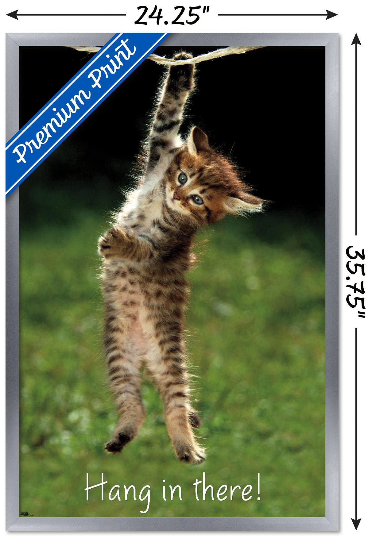 Trends International Kitten-Hang In There Wall Poster, 24.25'' X 35.75'', Multicolor