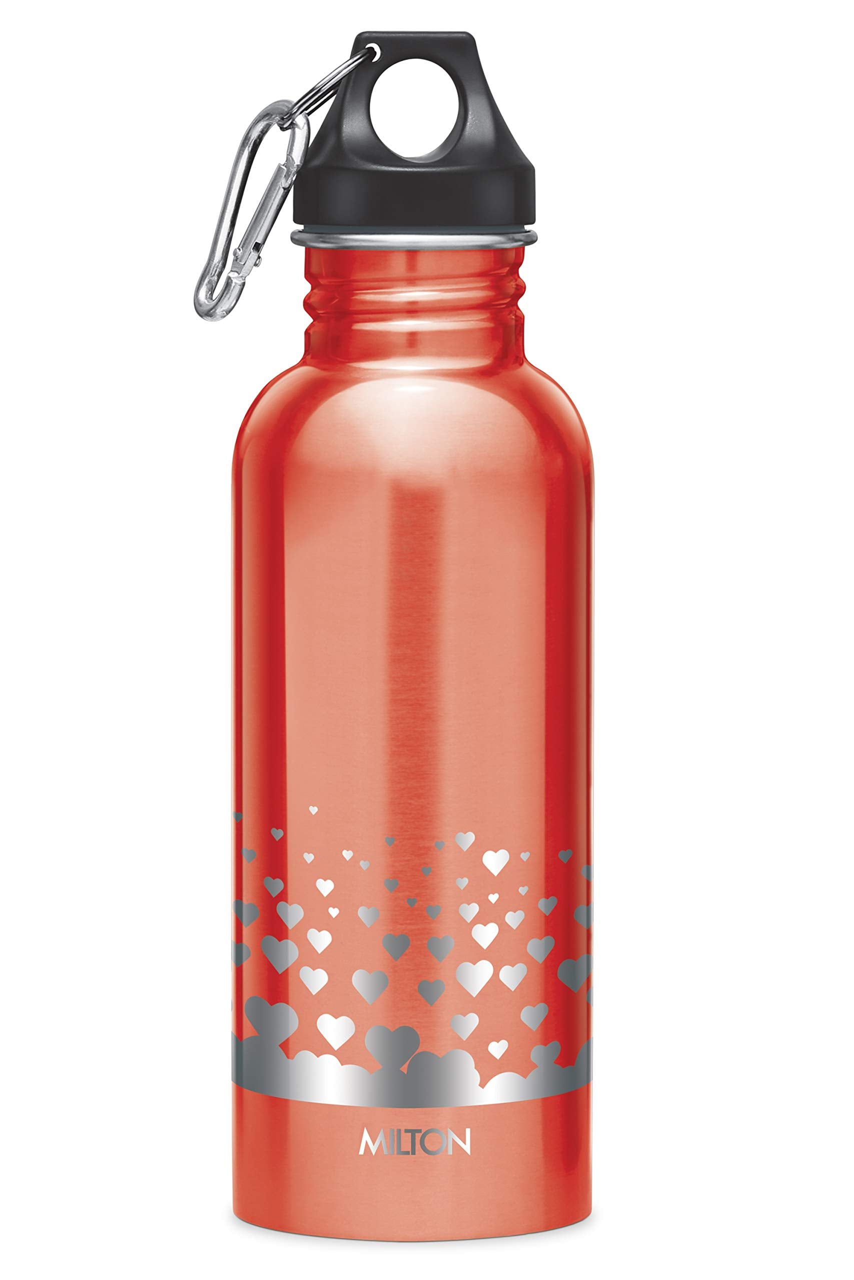 Milton Alive 750 Stainless Steel Water Bottle, 750 Ml, Silver