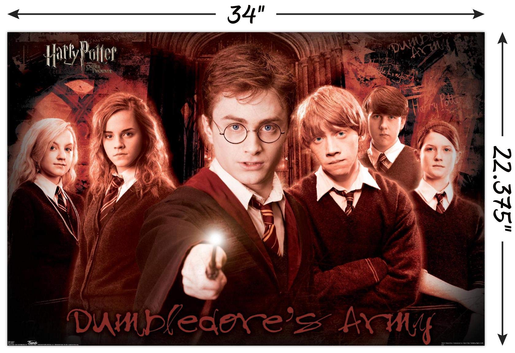 Trends International Harry Potter And The Order Of The Phoenix-Group Wall, 22.375'' X 34'', Premium Poster & Mount Bundle