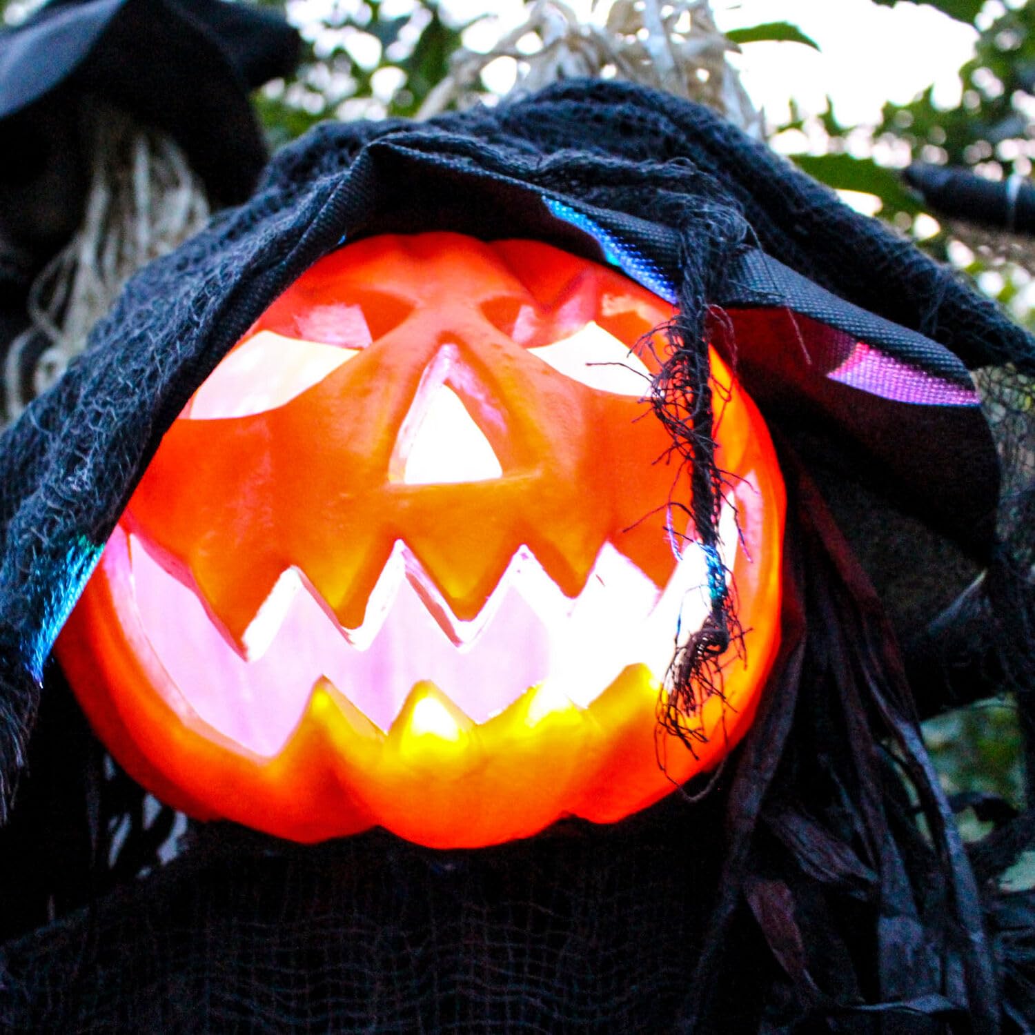 Haunted Hill Farm Life-Size Scary Poseable Pumpkin Witch, Halloween Prop with Touch Activated Lights and Sound, Battery Operated