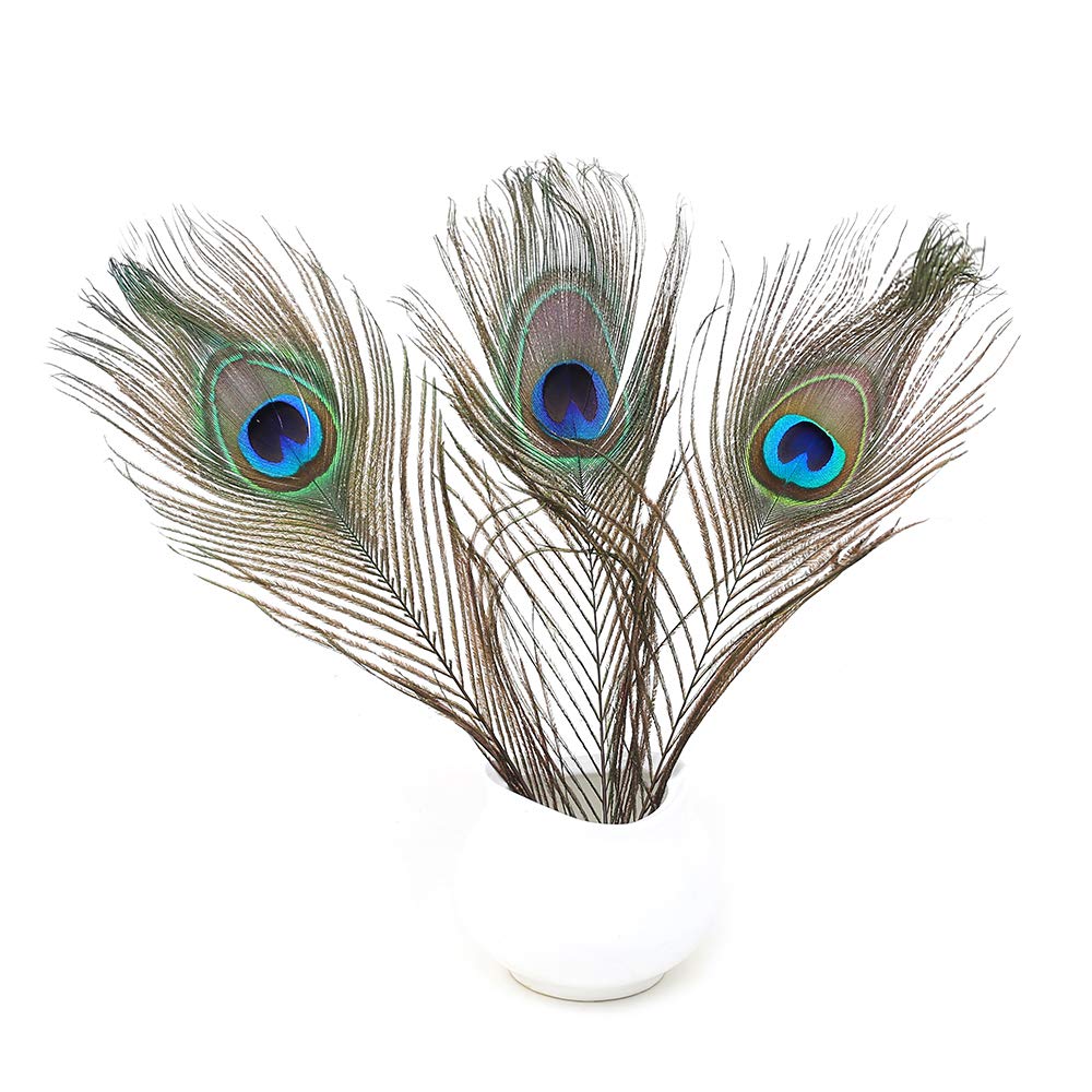 36 Pcs Real Natural Peacock Eye Feathers 10-12 Inch For Diy Craft, Wedding And Holiday Decorations