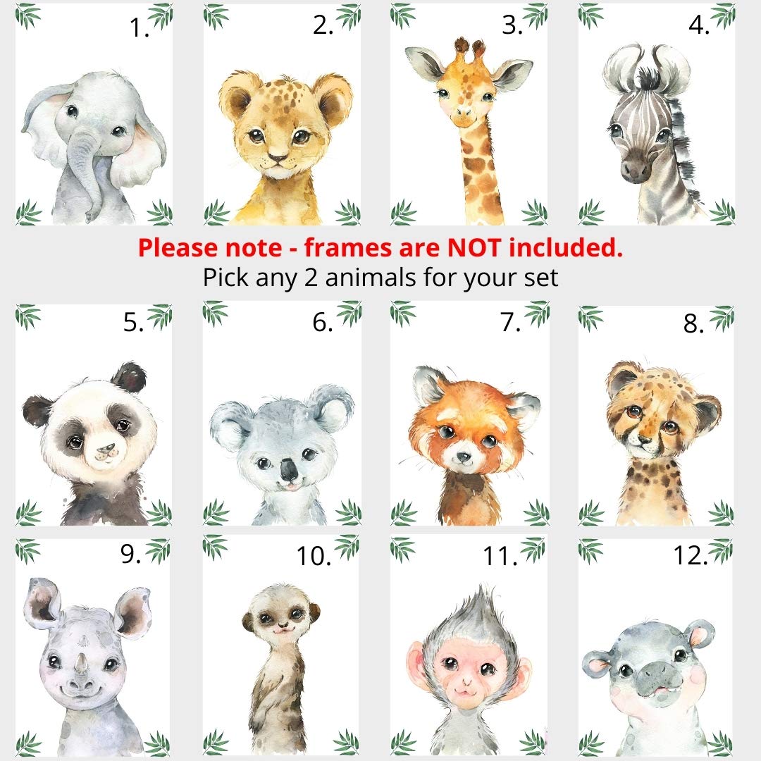 Personalized Safari Animals for Baby Boy Girl Nursery Bedroom Unframed Set of 3 Poster Prints  Green Jungle Leaves Wall Art Decor New Baby Gift Present  Elephant Giraffe Lion Panda Zebra (8x10)