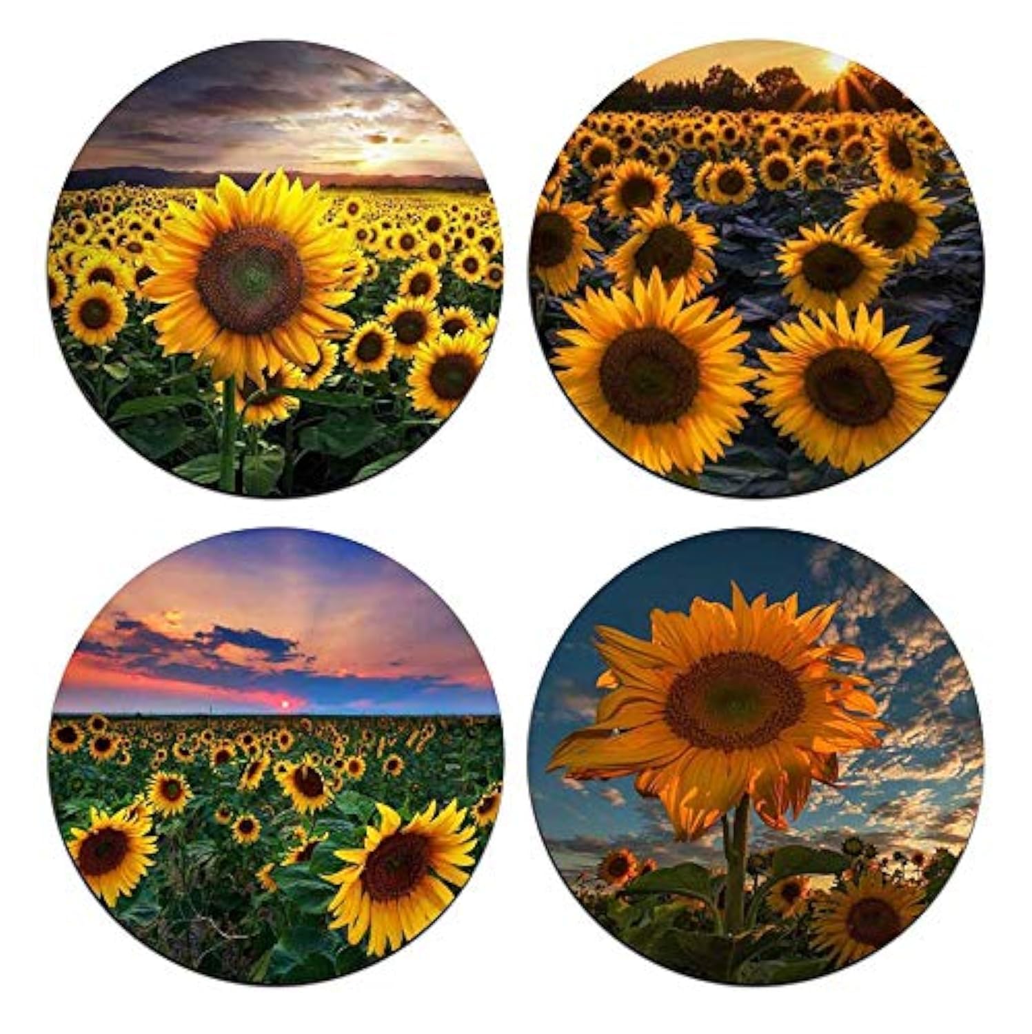 Sunflower Round Coaster Set - Made Of Recycled Rubber - Set Of 4