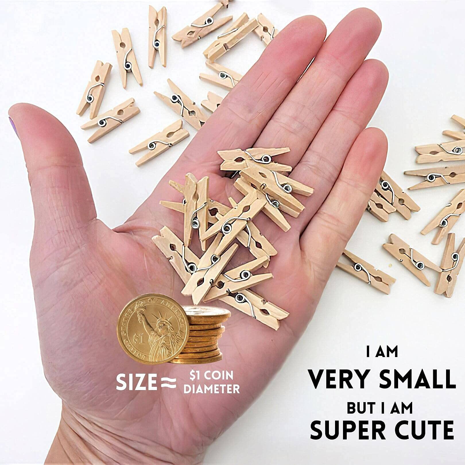 SF SOONEAT Mini Clothespins - 100 PCS Natural Wooden Clips, 1 Inch, Wood Color for Crafts and Photo Hanging