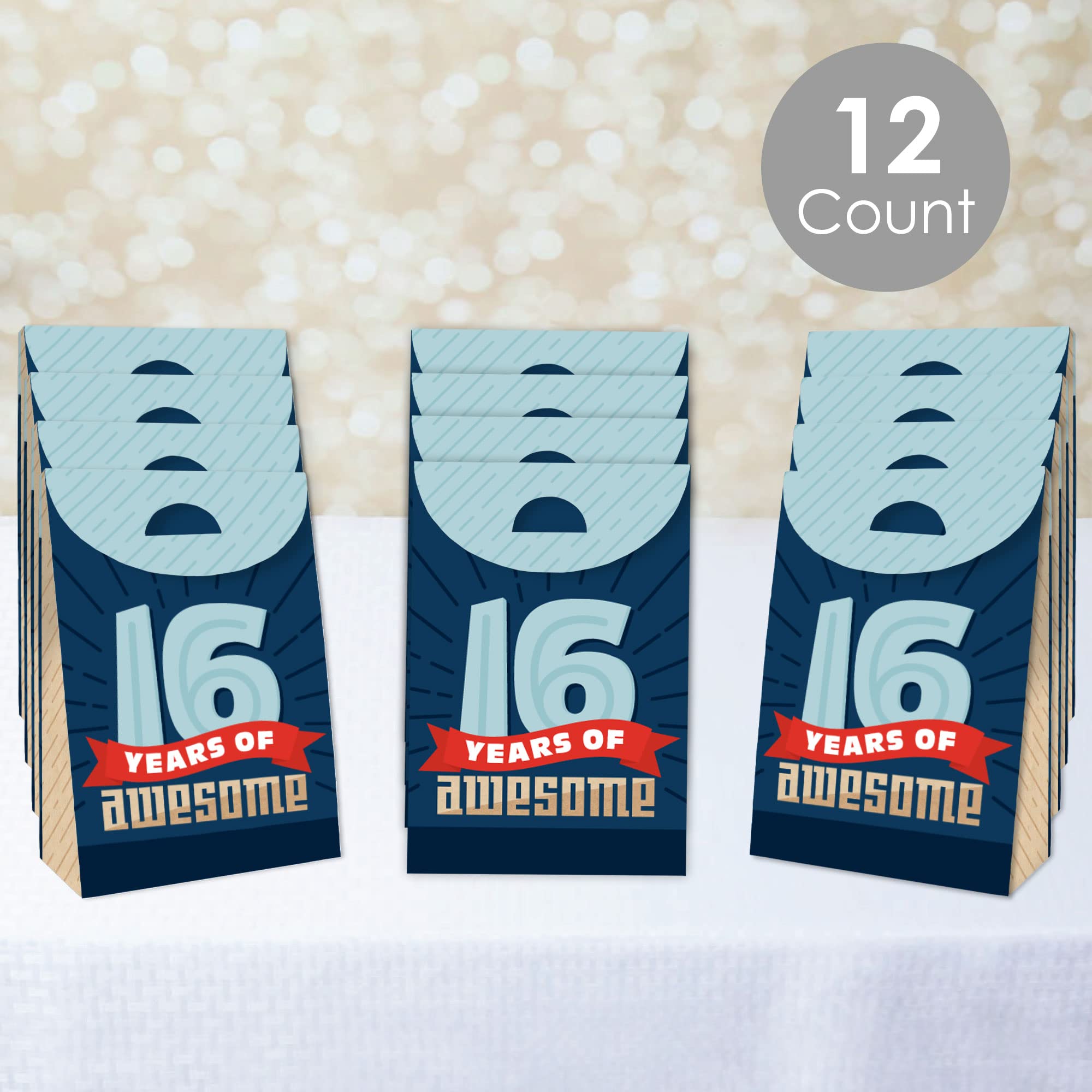Big Dot Of Happiness Boy 16Th Birthday - Sweet Sixteen Birthday Gift Favor Bag - Party Goodie Boxes - Set Of 12