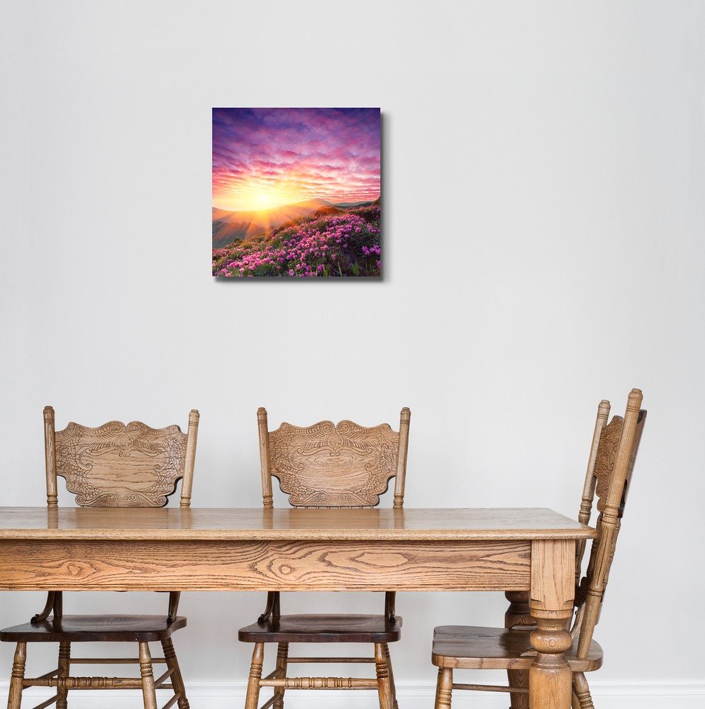 Spring Landscape In Mountains With Flower Of A Rhododendron And The Sky With Cloud - Canvas Art Wall Art - 24'' X 24''