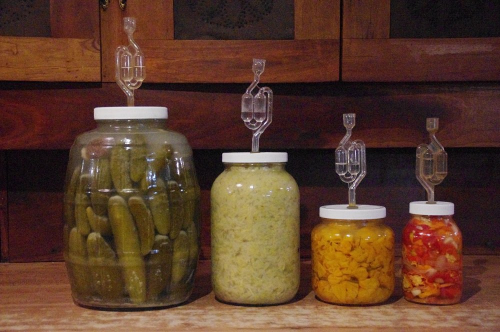 The Picklemeister Glass Fermentation Jar (Picklemeister 1 Gallon)
