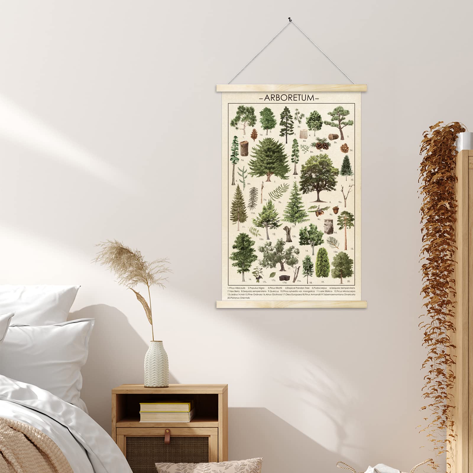 Tevxj Vintage Tree Poster Plant Wall Art Prints Rustic Style Of Arboretum Wall Hanging Illustrative Reference Chart Poster For L