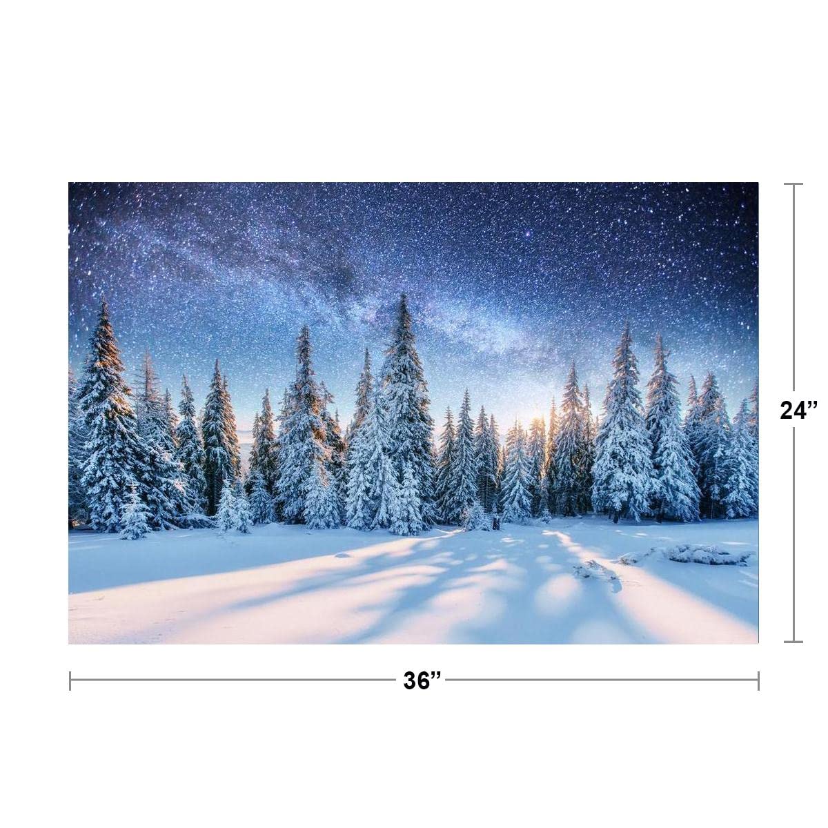 Dairy Star Trek in the winter woods Cool Wall Decor Art Print Poster 36x24