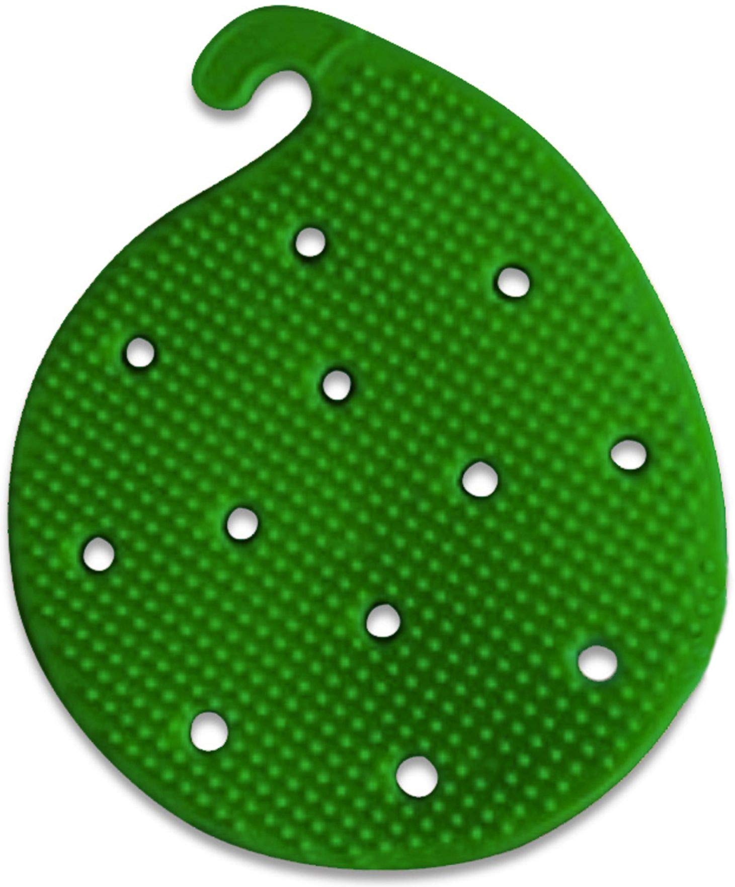 Vegetable Scrubber Brush : Double Sided Fruit And Vegetable Scrubber - Multi Use: Potato Scrubber - Carrot Brush - Trivet - Jar