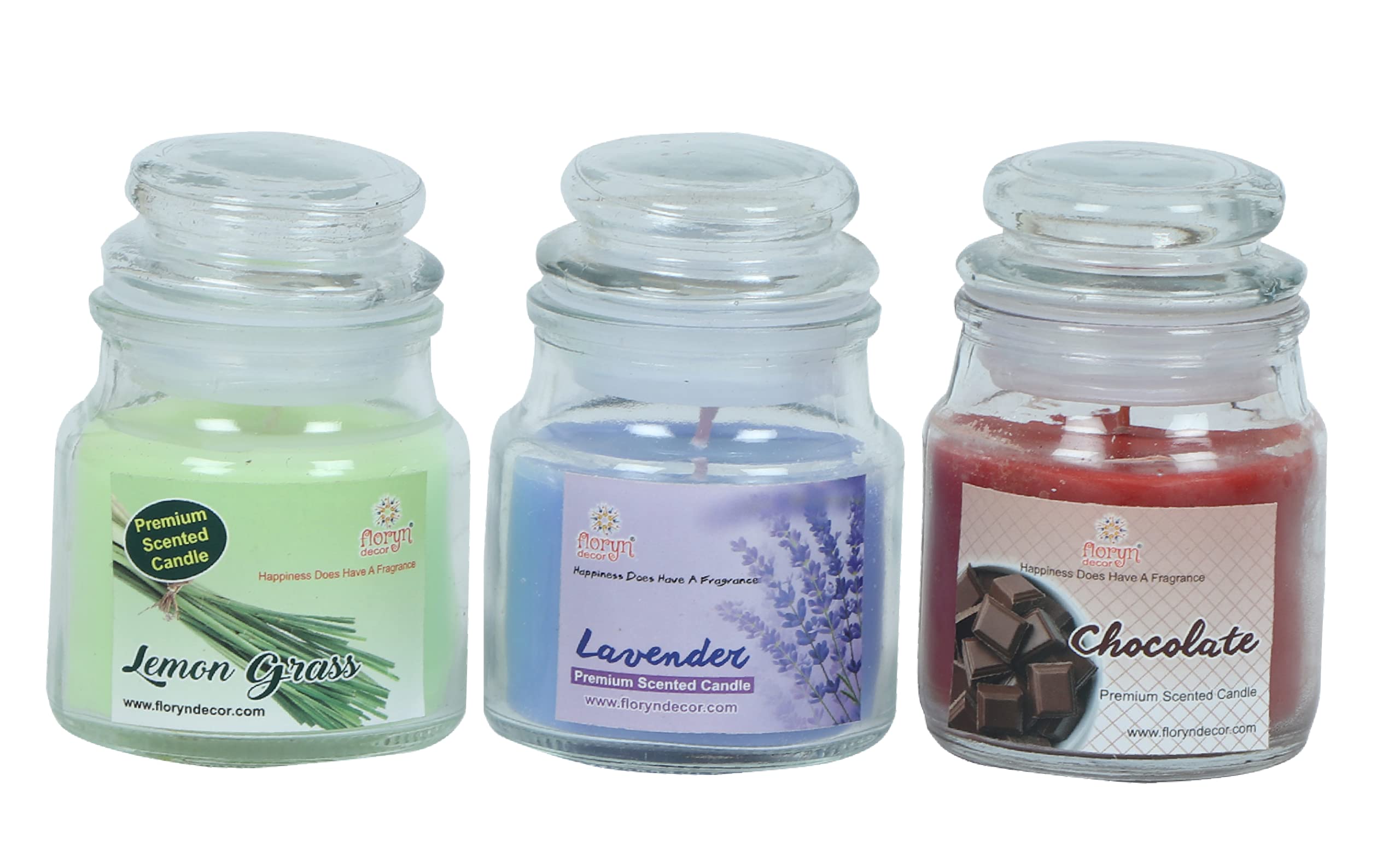 Floryn Decor Scented Cookie Jar Candle | Pack of 3 | Scented Jar Candle (Lavender | Lemon Grass | Chocolate)