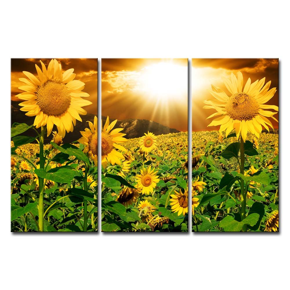 Sunflower Wall Art Canvas Print For Home Decor 3 Pieces Panel Paintings Modern Artwork For Living Room Decoration Flower Picture