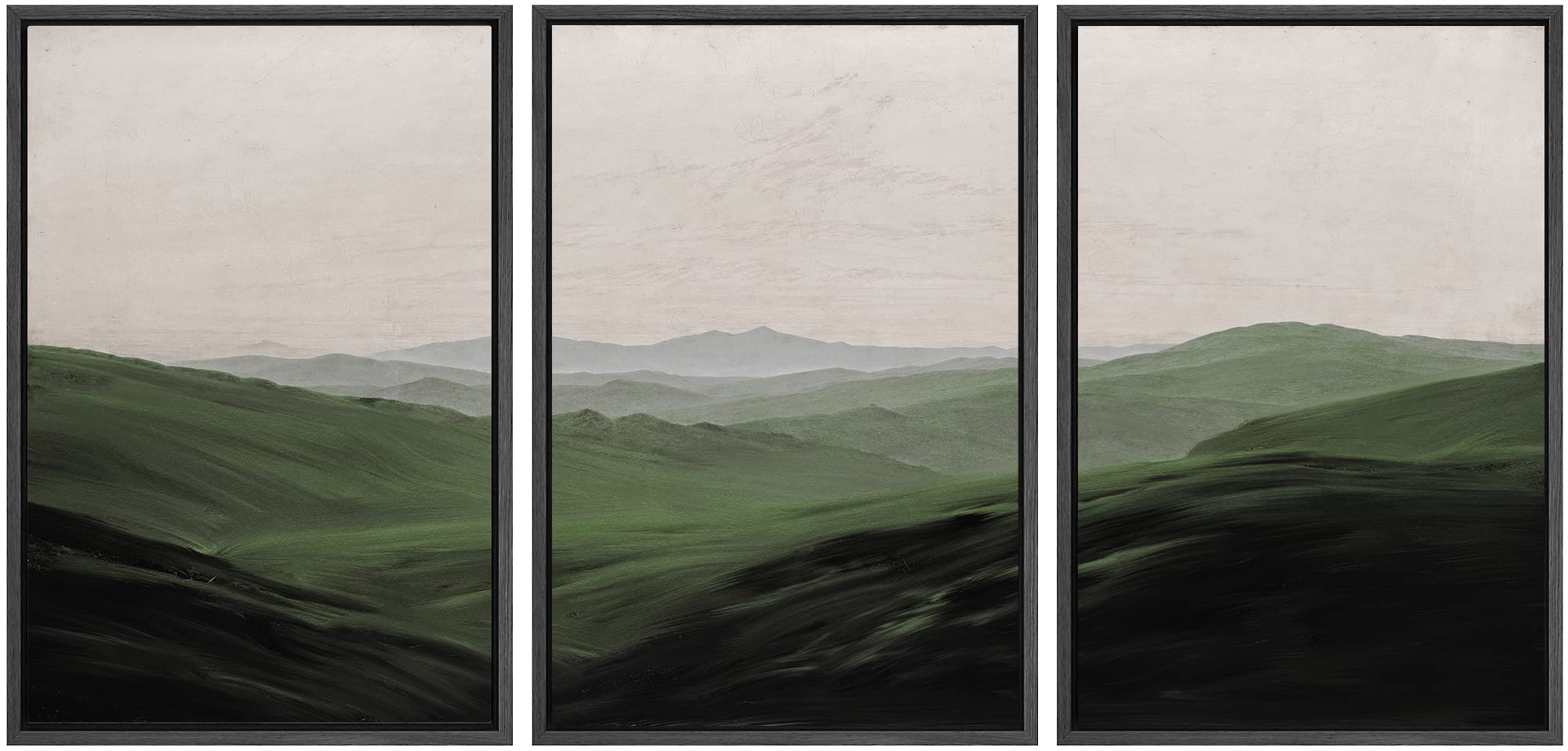 Signwin 3 Piece Framed Canvas Wall Art Flower Canvas Prints Home Artwork Decoration For Living Room,Bedroom - 16''X24''X3 Black