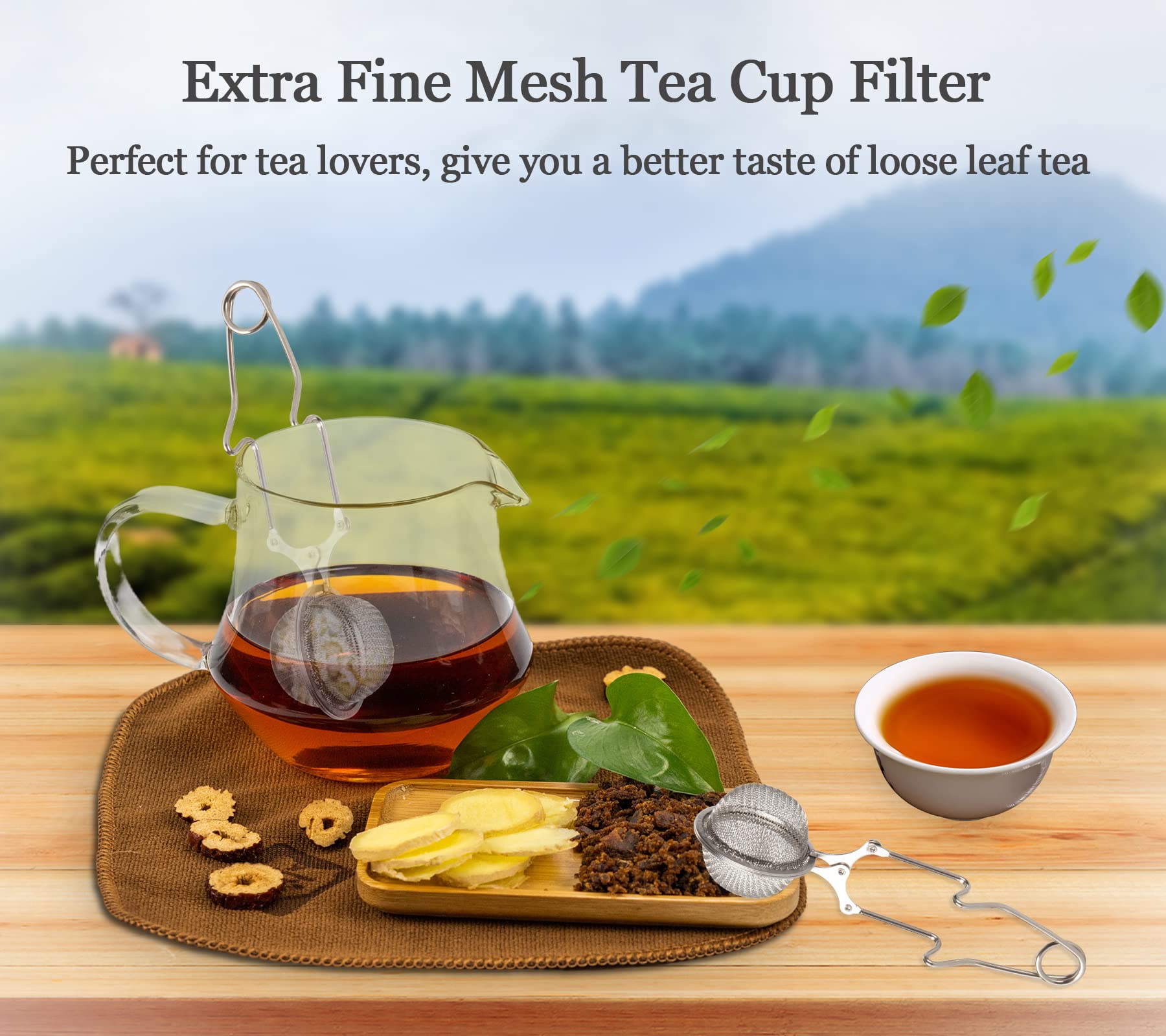 Snap Ball Tea Strainer  Exptolii 2 Pack Stainless Steel Tea Infuser Filter with Handle for Loose Leaf Tea  Spices  Seasonings