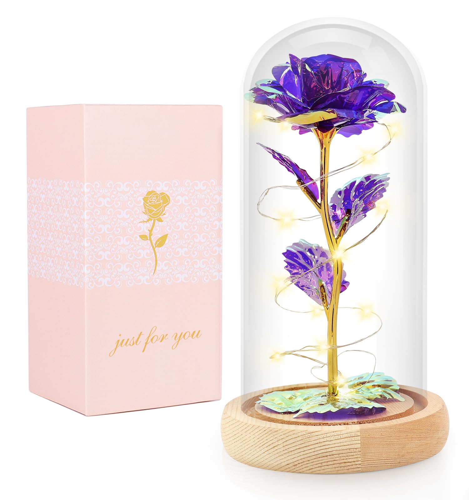 Beferr Mothers Day Mom Gifts for Women Birthday Gifts Galaxy Rose Enchanted Crystal Flower Gift Light Up Rose in Glass Dome Moth