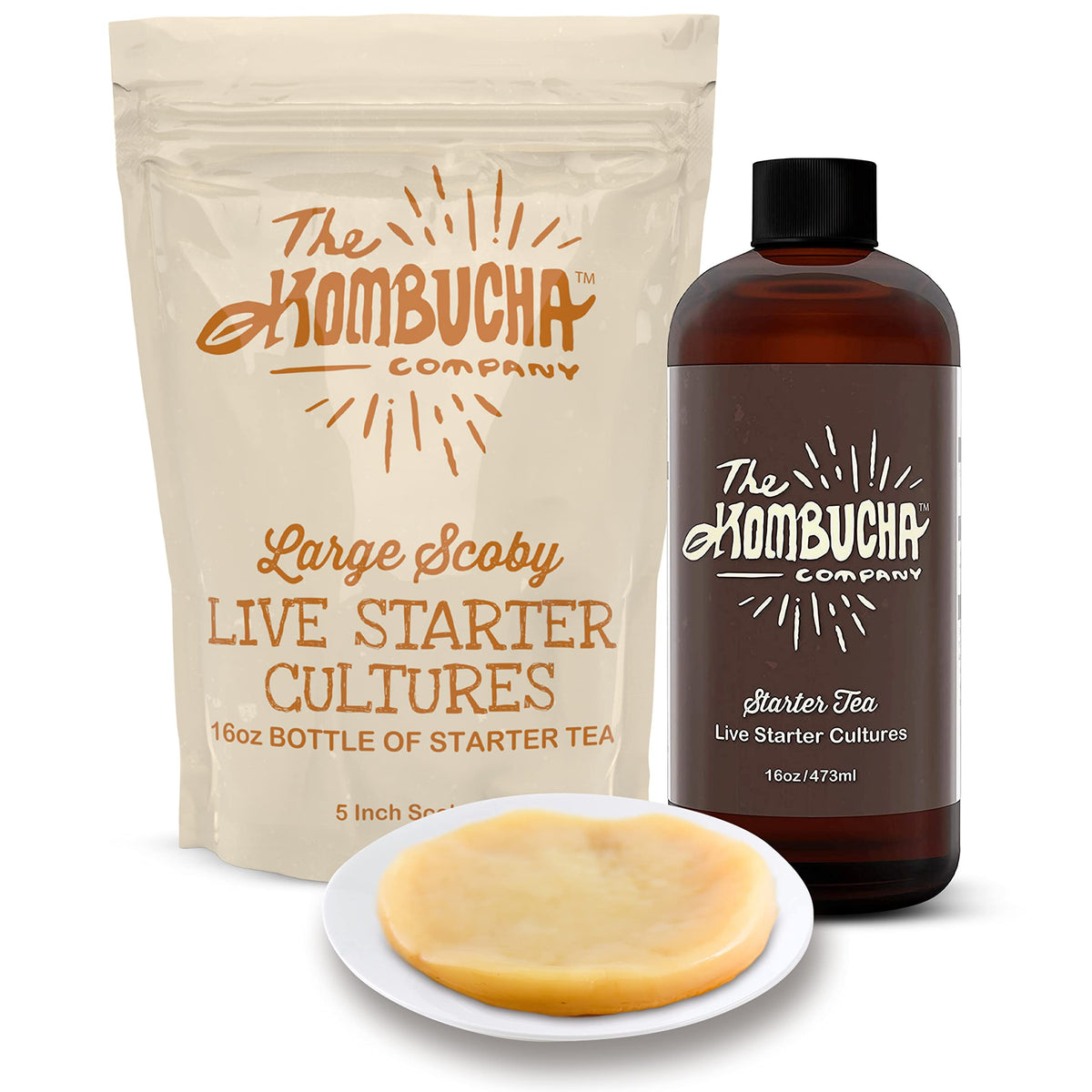 The Kombucha Company Large Kombucha Scoby & 16Oz Bottle Of Starter Tea L Makes One Gallon  Brew Organic Kombucha From Home  Made