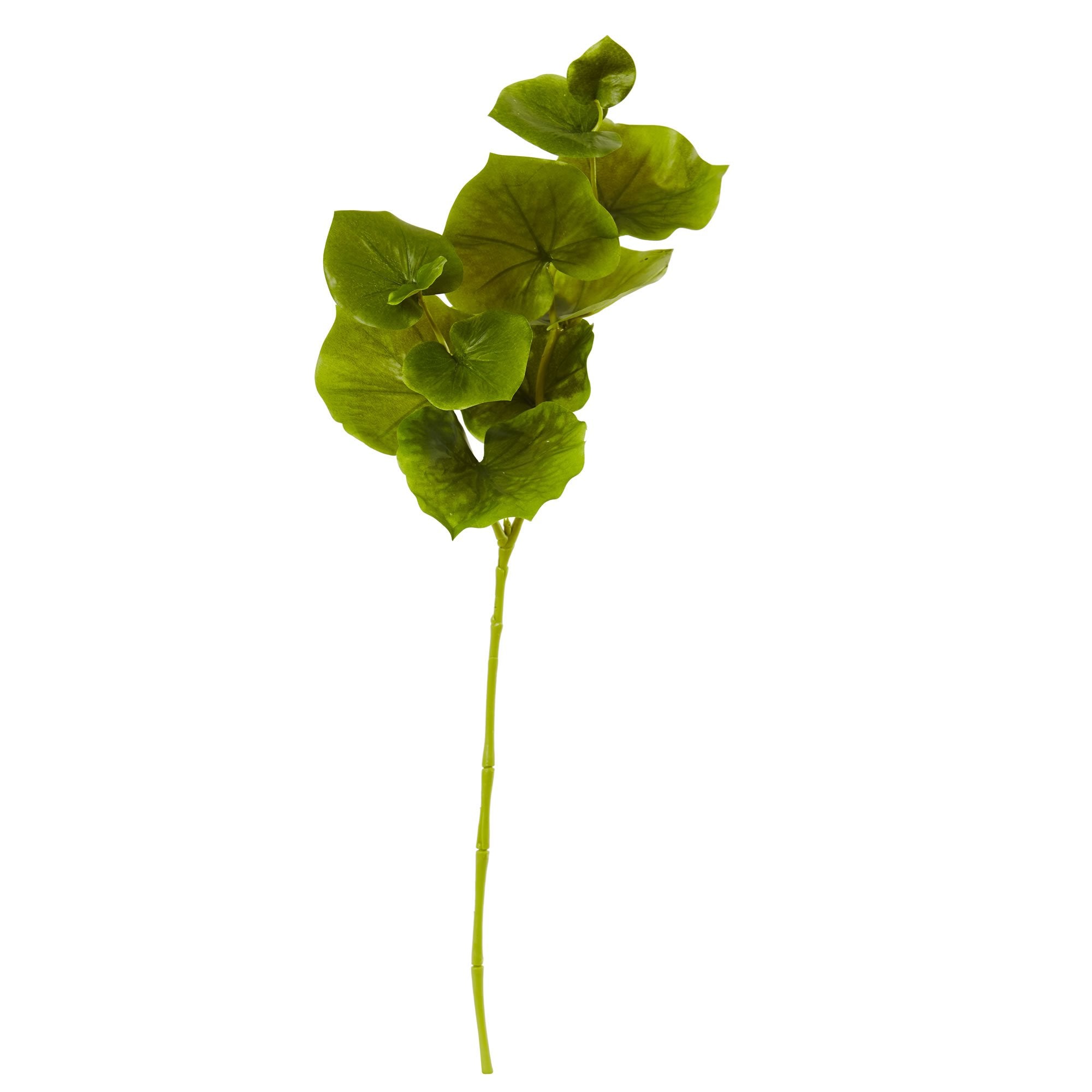 Nearly Natural 29 in. Lotus Artificial Leaf (Set of 12) Silk Flowers, Green