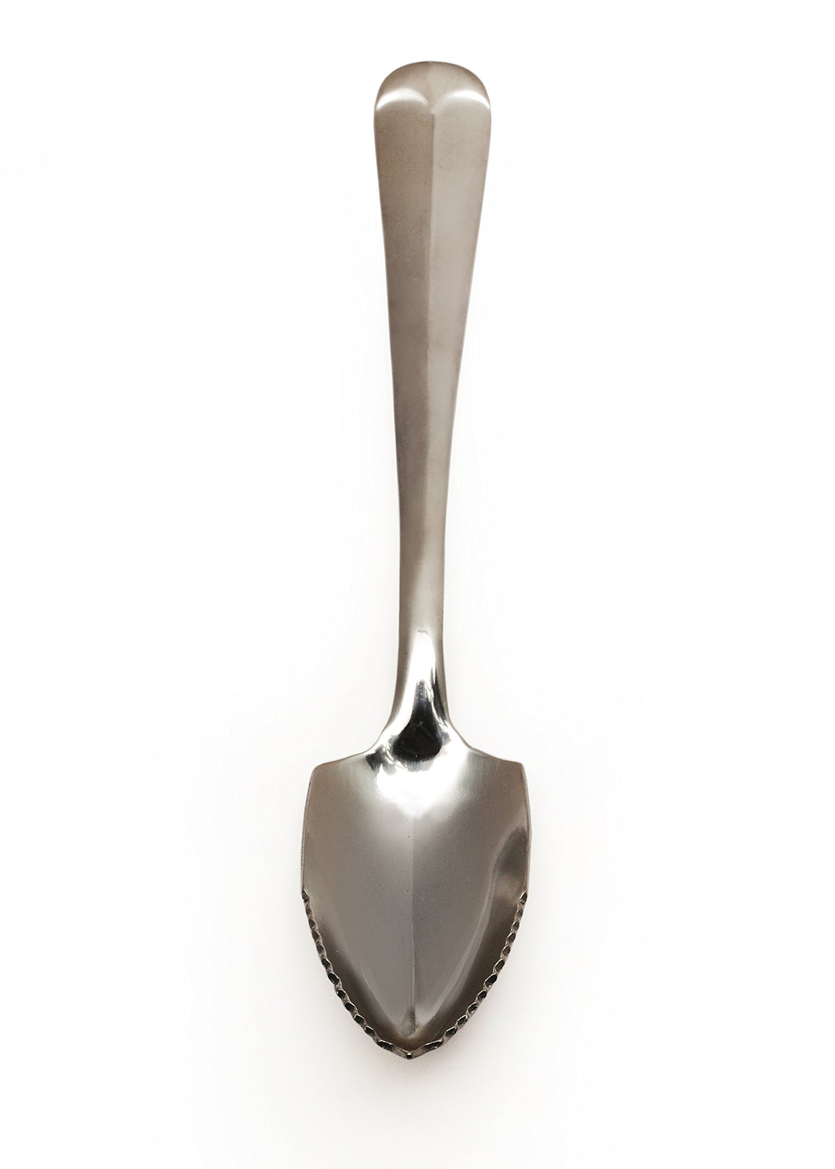 Rsvp International Endurance Grapefruit Tool Collection Stainless Steel, Dishwasher Safe, Spoon