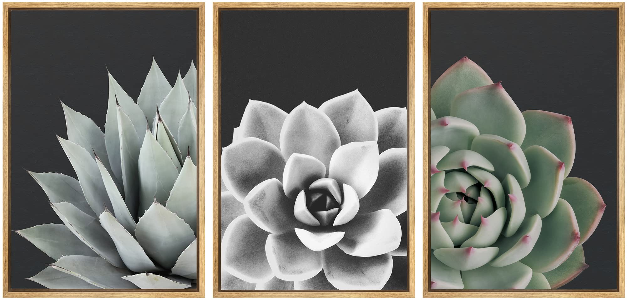 Signwin Framed Wall Art Print Set Desert Rose Echeveria Succulent Set Nature Plants Photography Modern Art Closeup Relax/Calm Da