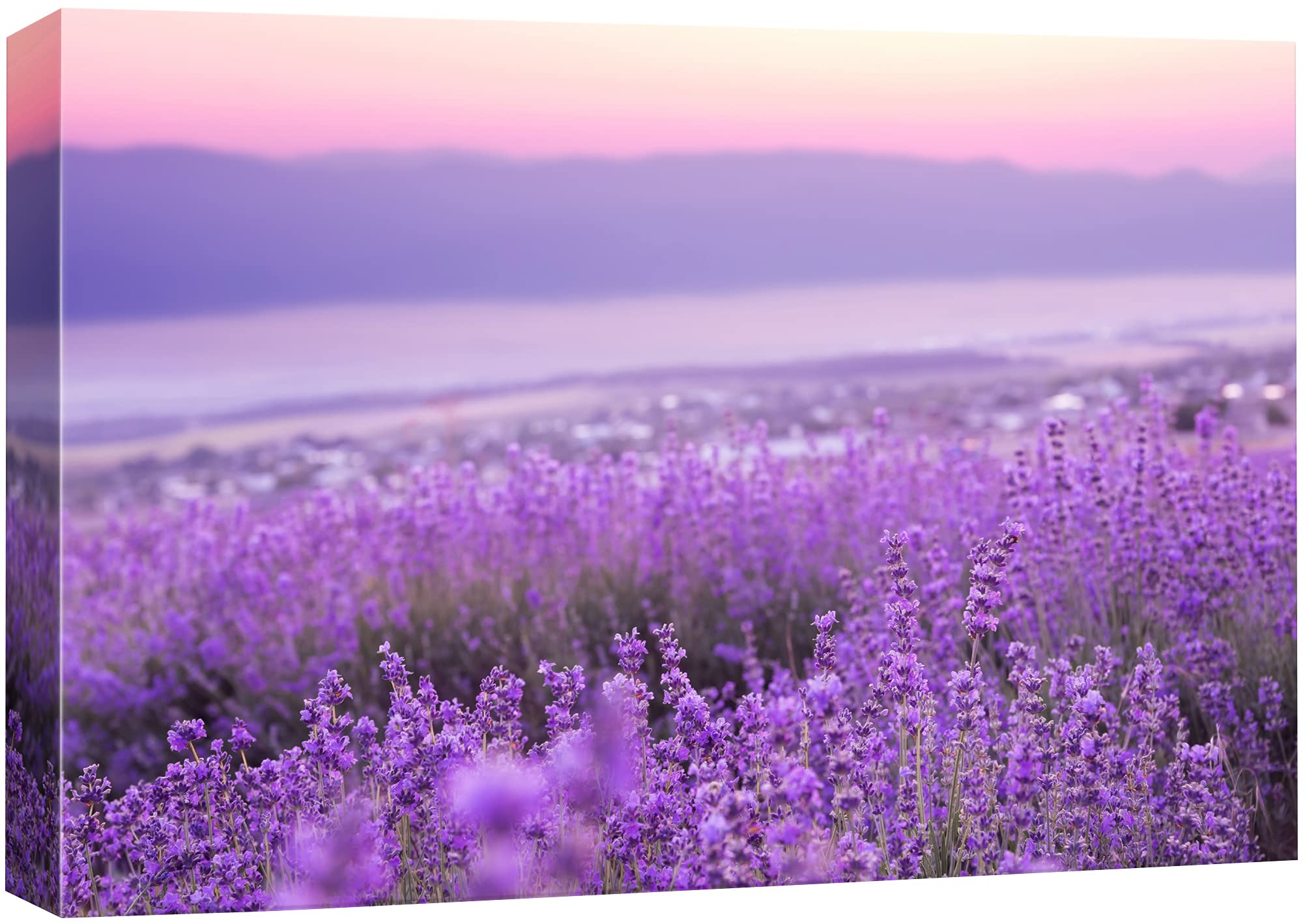 Signford Canvas Print Wall Art Lavender Flowers With Purple Mountain Range Floral Plants Photography Modern Art Rustic Landscape