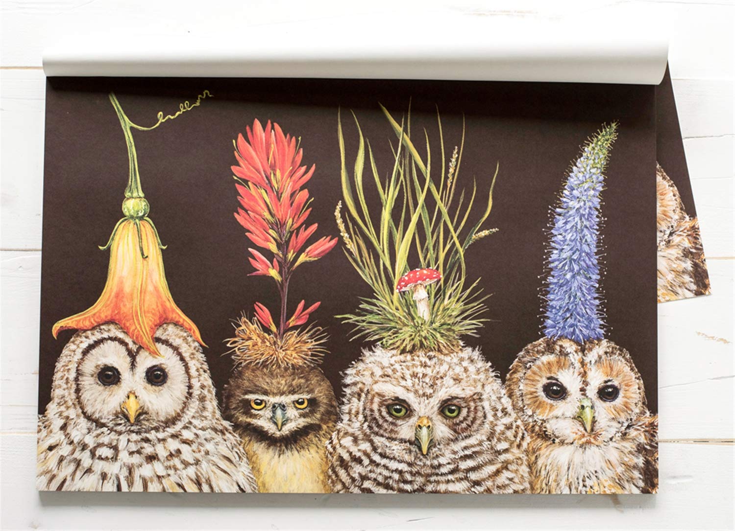 Baby Owls Paper Placemat 24 Sheets Vicki Sawyer American Made