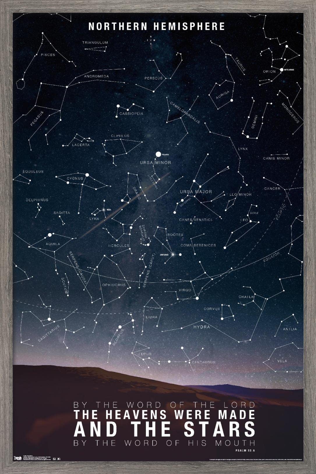 Trends International The Stars Wall Poster, 14.72'' X 22.37'', Barnwood Framed Version