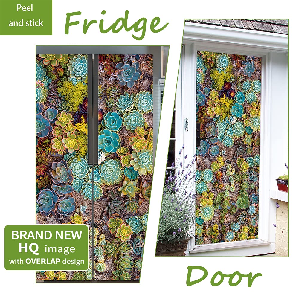 Nature Art Self Stick Vinyl Door Mural Sticker, Peel And Stick Removable Refrigerator Wrap Decal, Succulent Plant, 32.3X78.7, 2