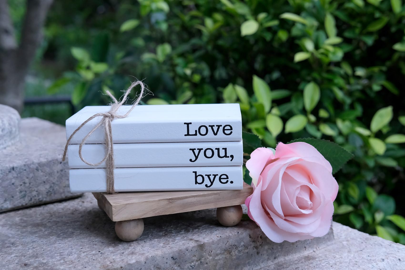 RUKEJUNE Cute Love You Bye Mini Wooden Faux Books, Express Love and Warm Family Sign for Office Front Door Bathroom Hallway Entr