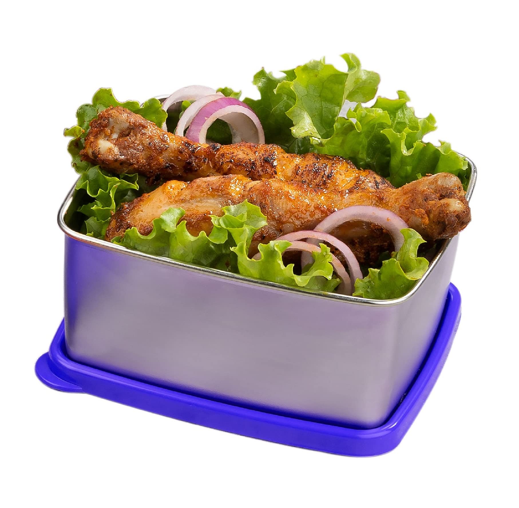 Signoraware Freezer Fresh Small Steel Container 600Ml, (Set Of 1),Violet
