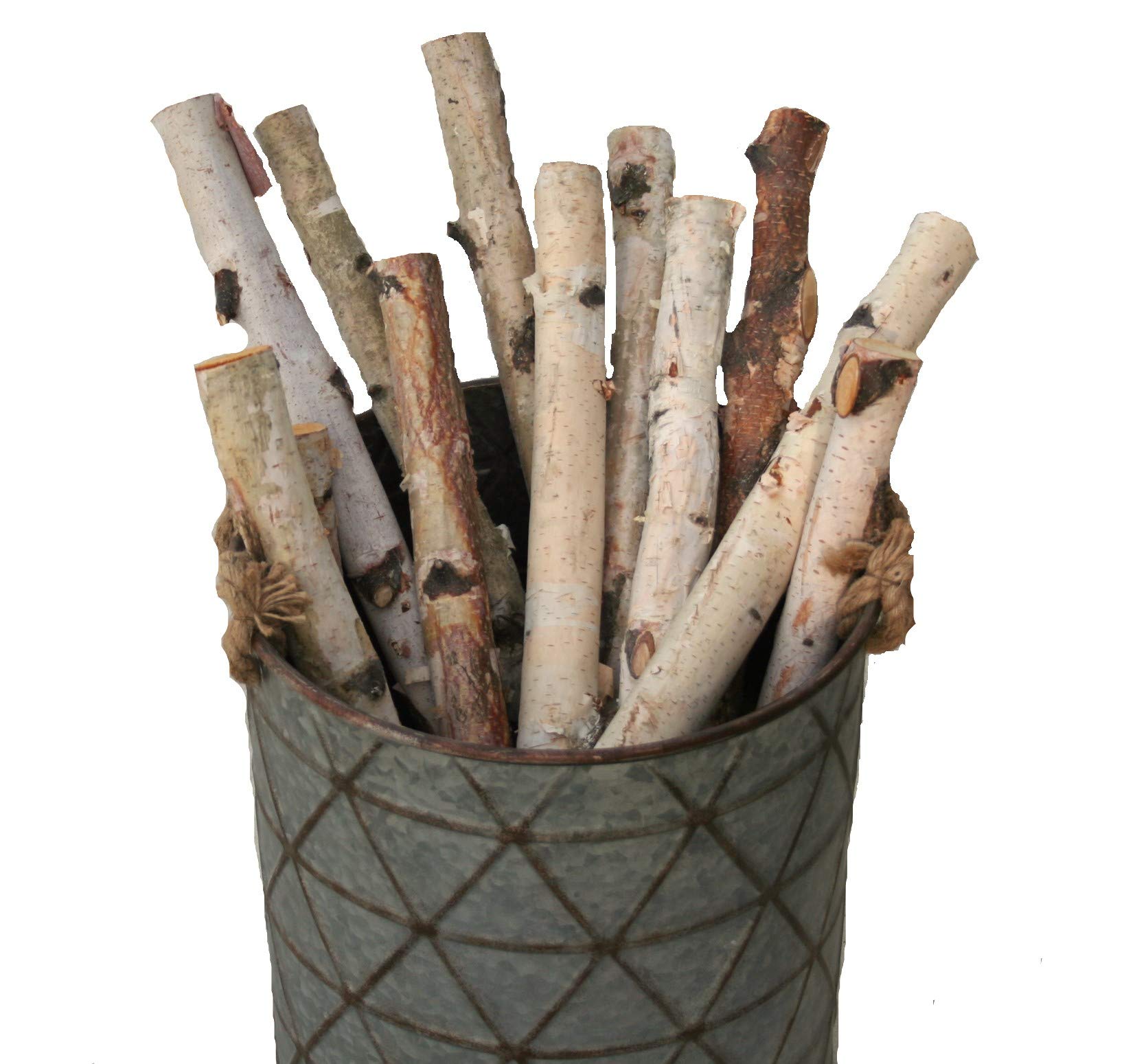 Wilson Decorative White Birch Logs, Natural Bark Wood Home D  Cor (Set Of 12) - 15.5''-17.5'' In Length 1''-1.5'' Dia.
