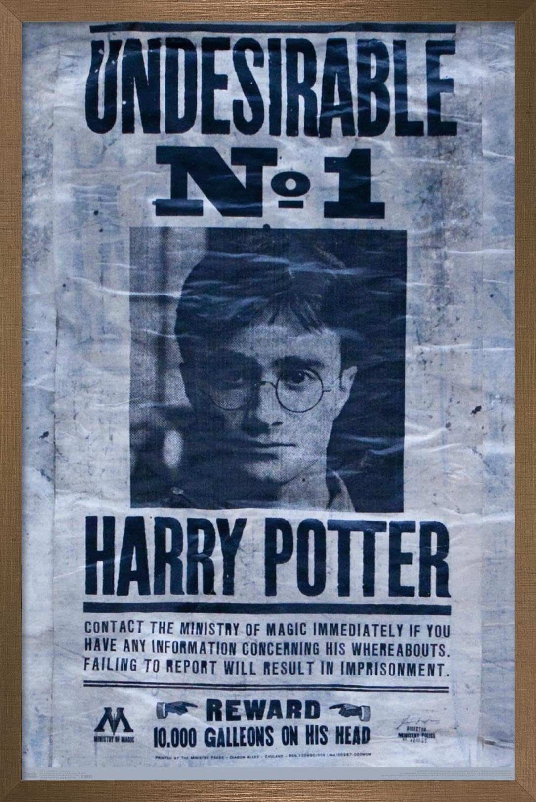 Trends International The Wizarding World: Harry Potter - Undesirable Wall Poster, 22.375'' X 34'', Bronze Framed Version