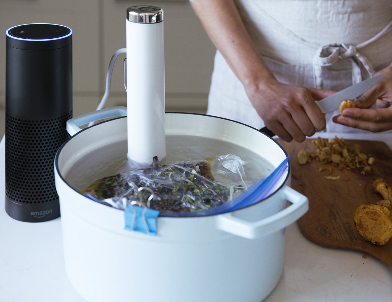 Breville Joule Sous Vide, Stainless Steel, Cs10001