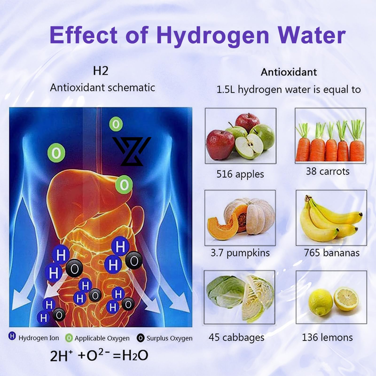 HomEnjoy Hydrogen Water Generator Bottle, SPE & PEM Technology, 14OZ Portable Rechargeable Hydrogen Water Ionizer Machine, for H