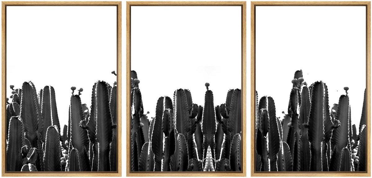 Signwin 3 Piece Framed Canvas Wall Art Black And White Landscape Canvas Prints Home Artwork Decoration For Living Room,Bedroom -